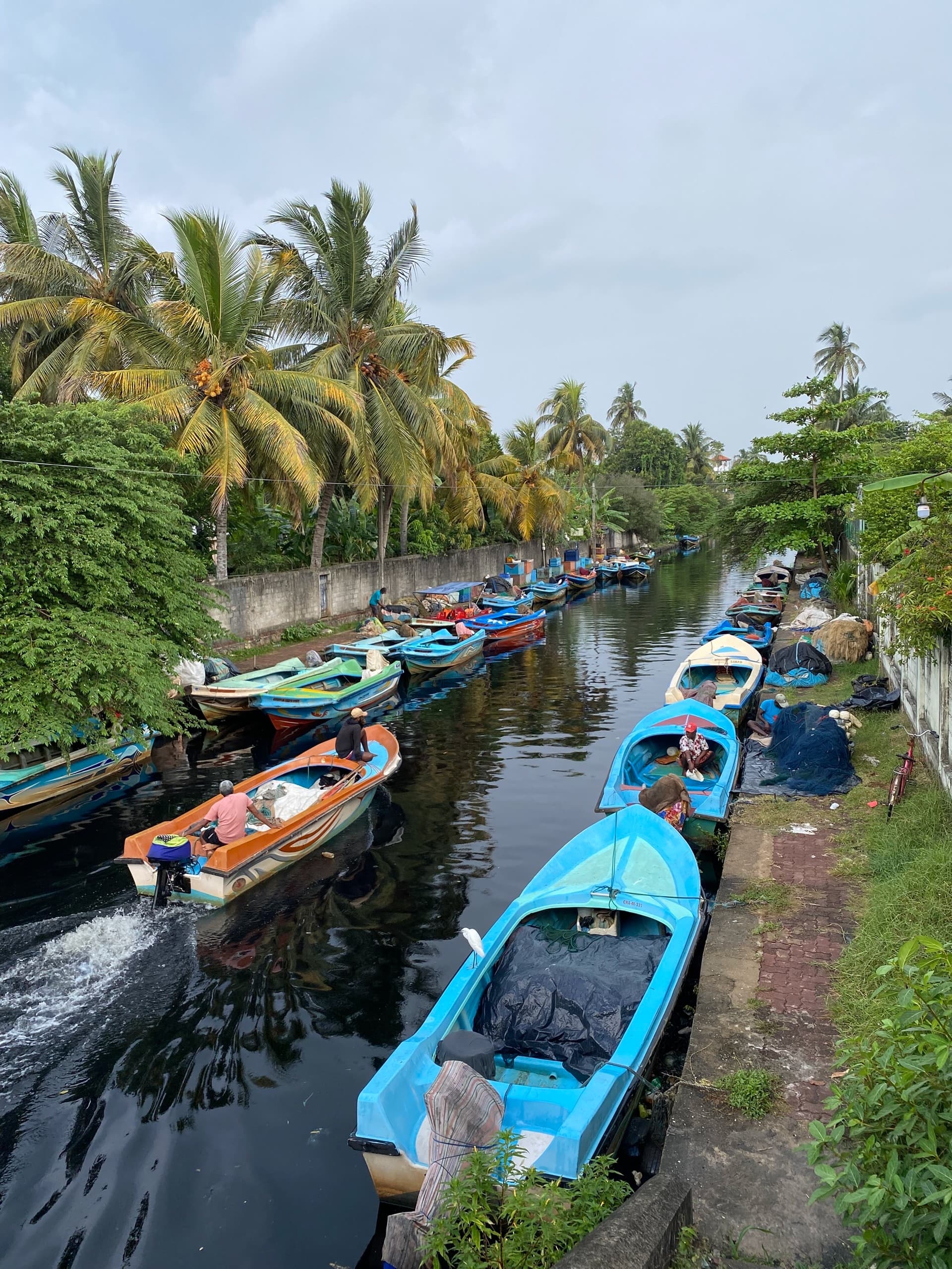 Шри-Ланка: Негомбо, март 2025