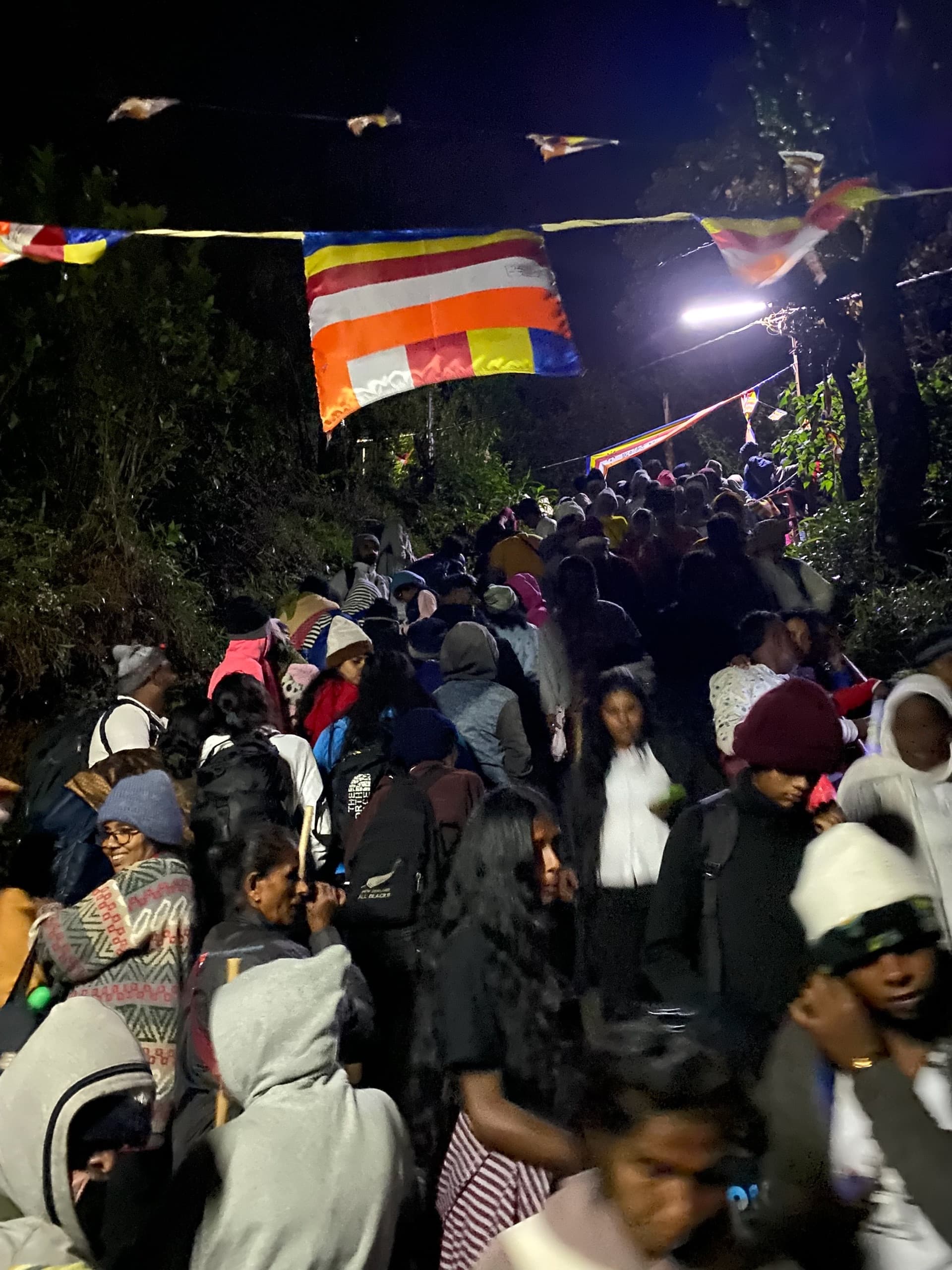 Шри-Ланка: Наллатанния (Пик Адама), март 2025