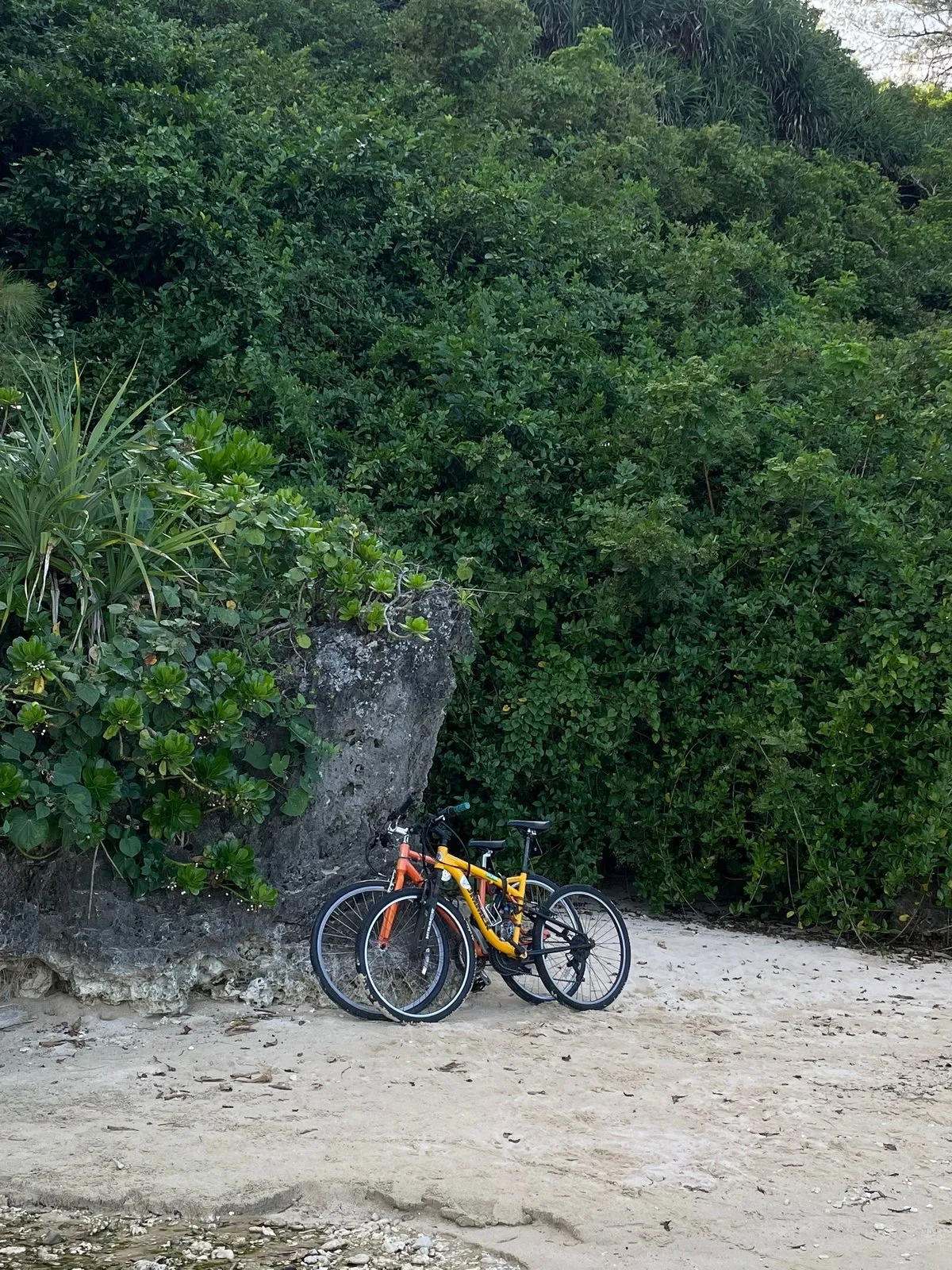 Приехали на пляж