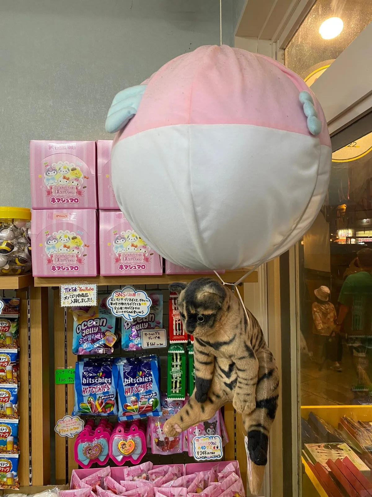 Кошачий десант