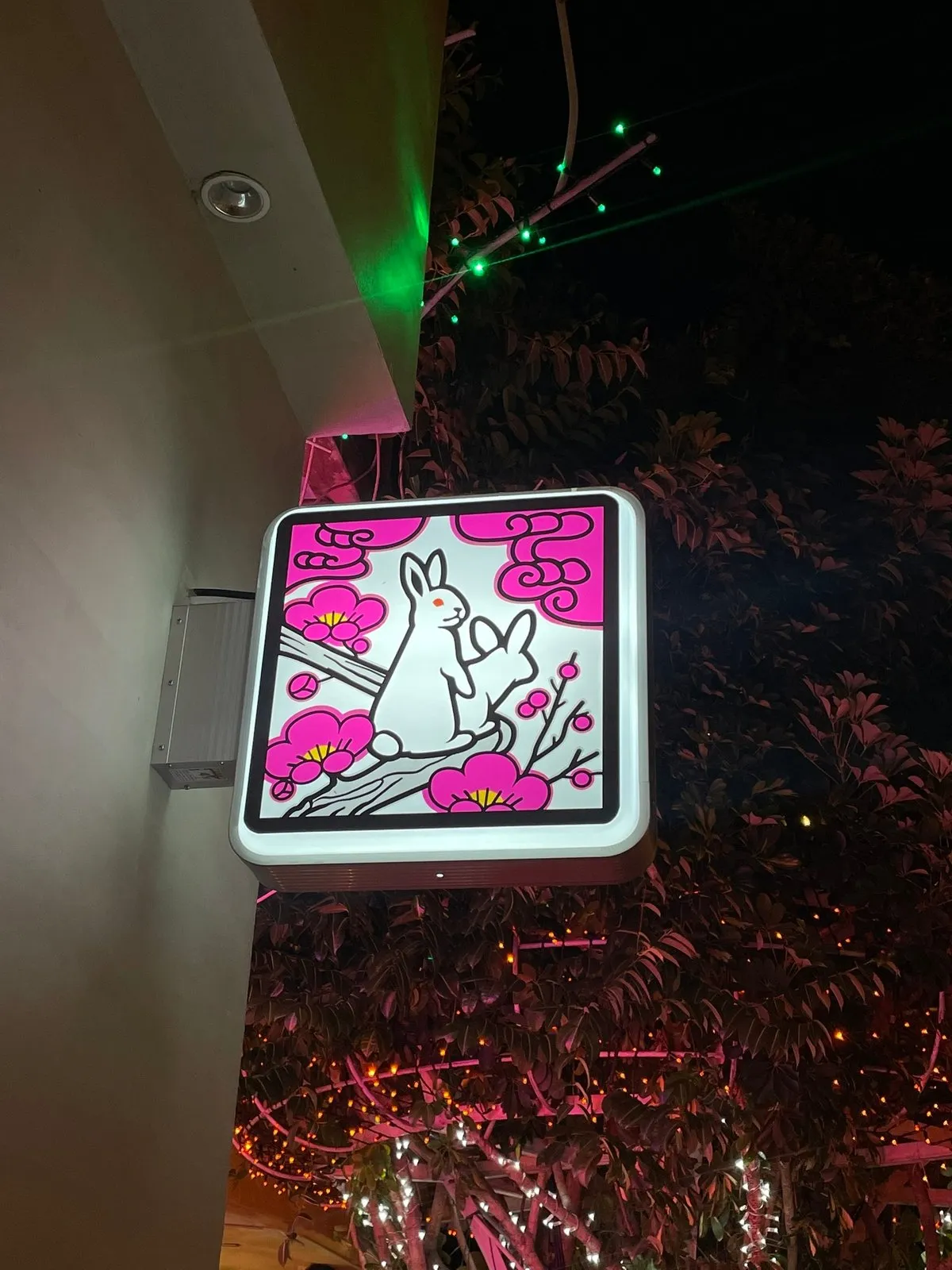 Зайцы. Известный бренд оказывается