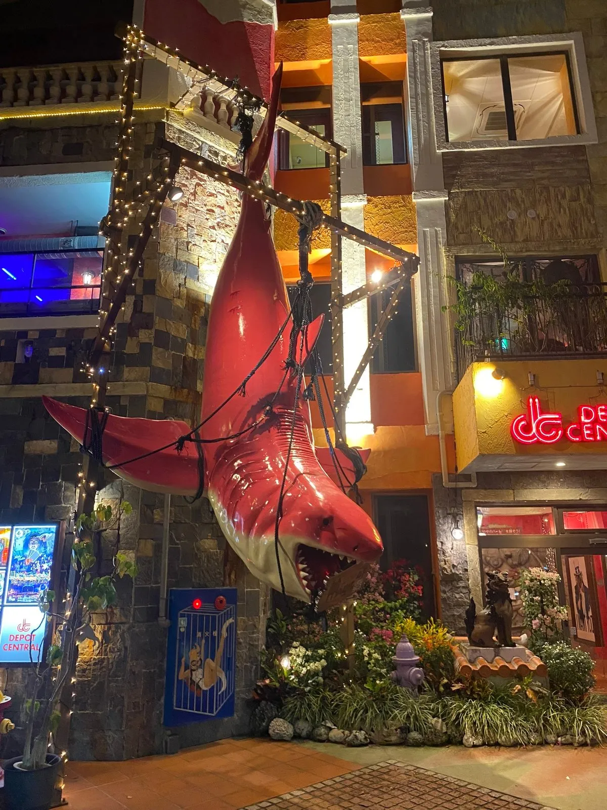 Розовая акула поймалась