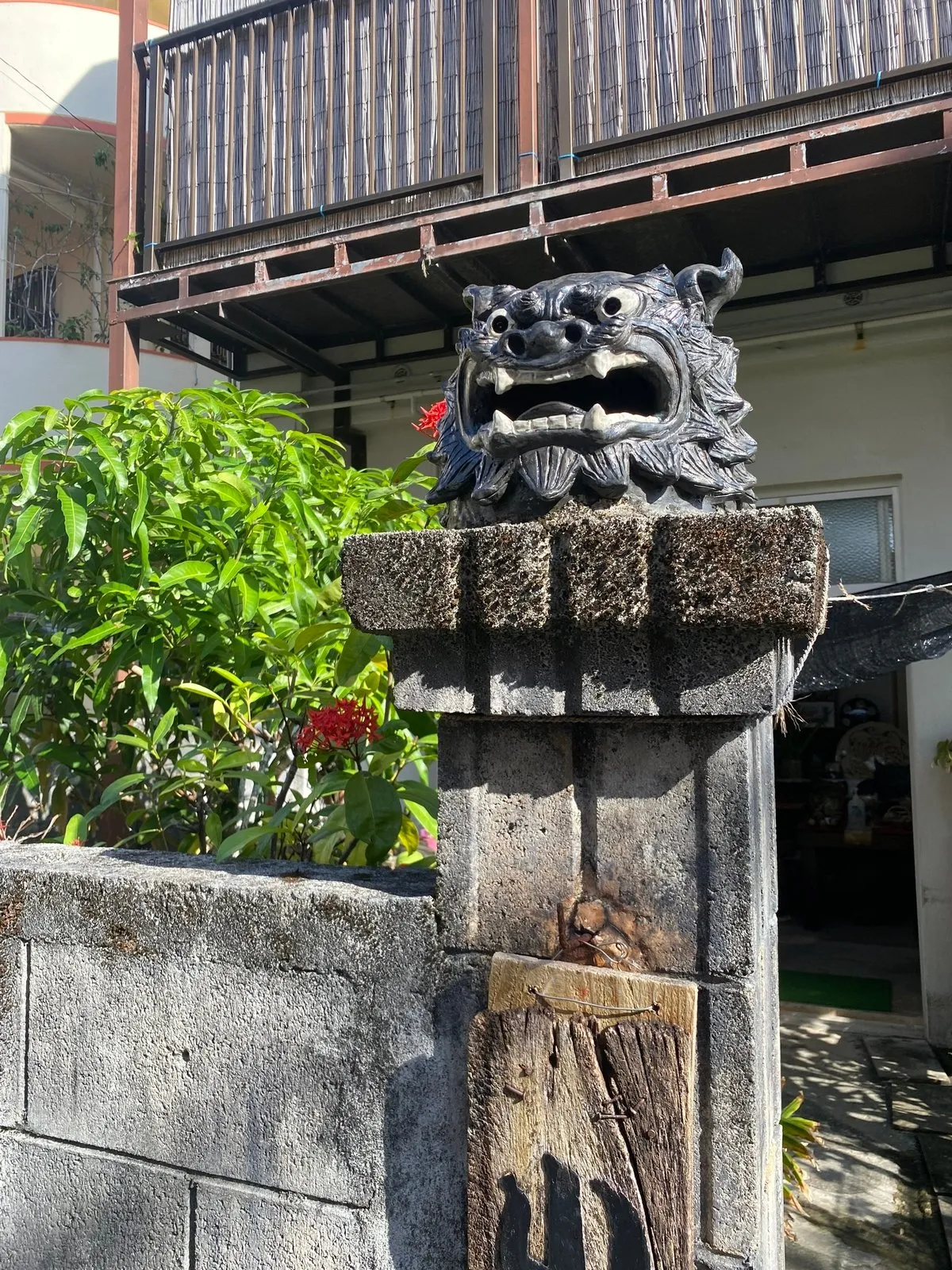 Одна бошка зато какая