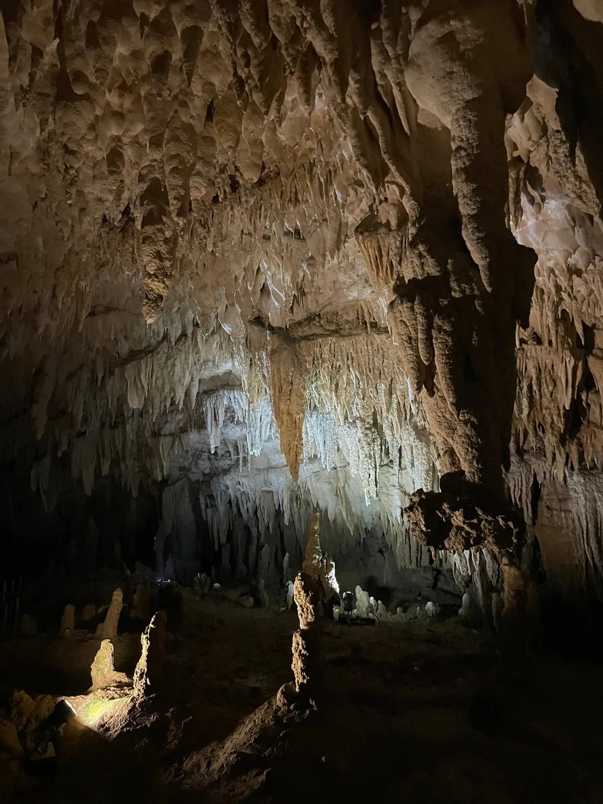 Питербургжсцы почуствуют себя как дома