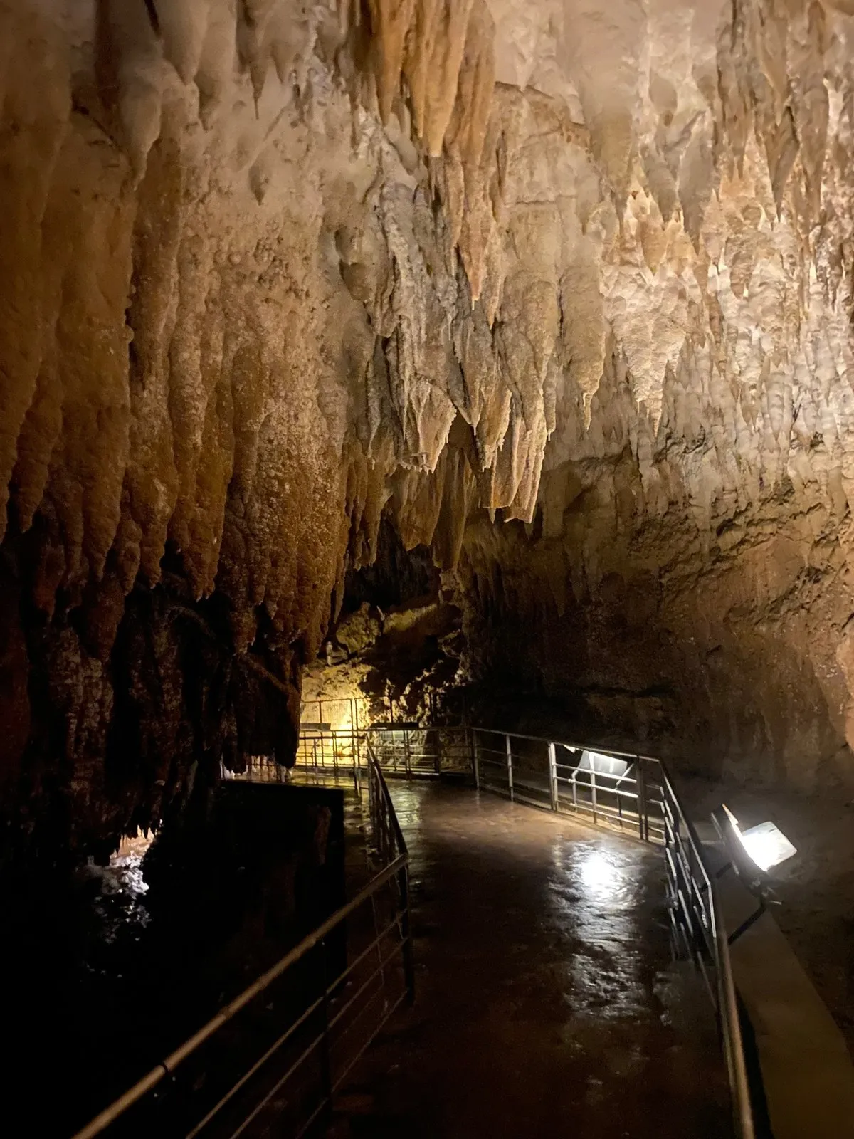 Часть отпилили чтобы пройти можно было