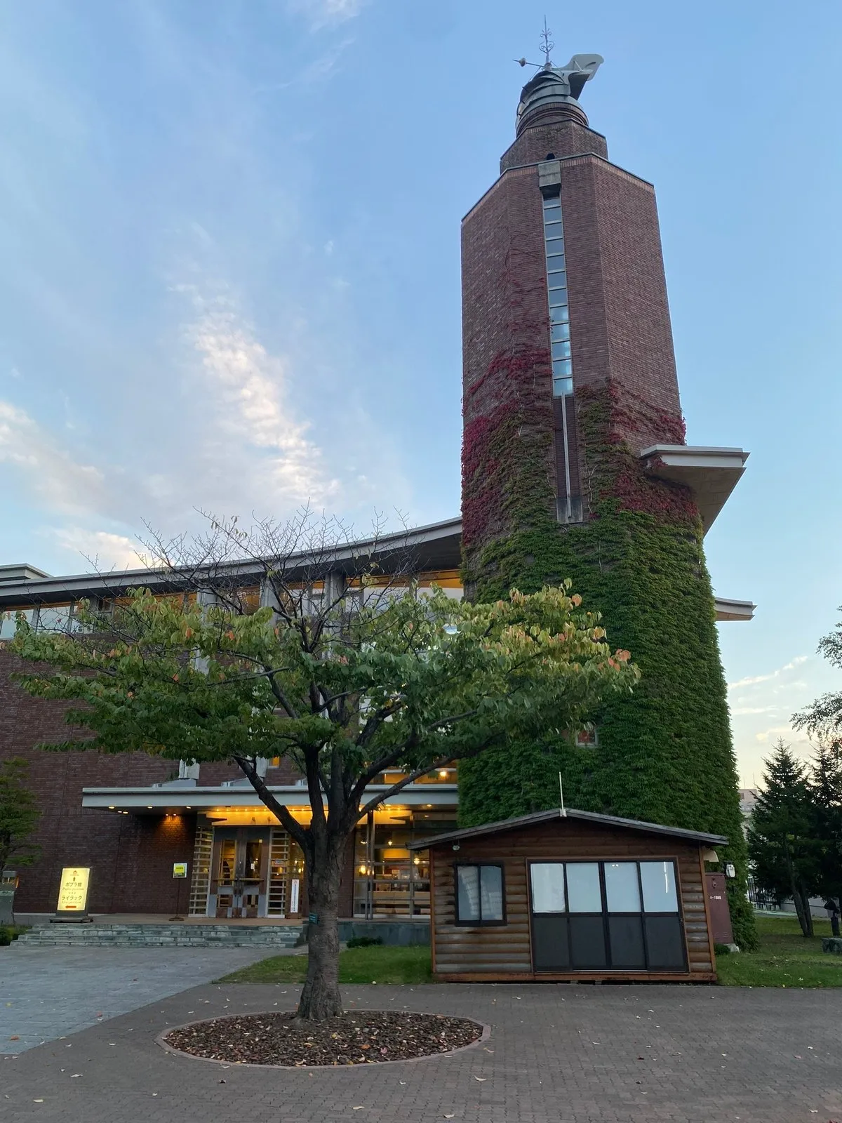 Мох на пивоварне