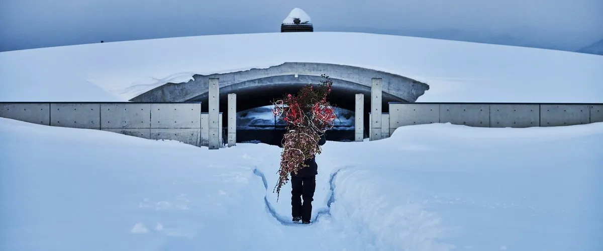 Украдено отсюда https://www.designboom.com/art/azuma-makoto-atamadaibutsu-hana-hill-buddha-flowers-lavender-tadao-ando-sapporo-japan-02-21-2022/