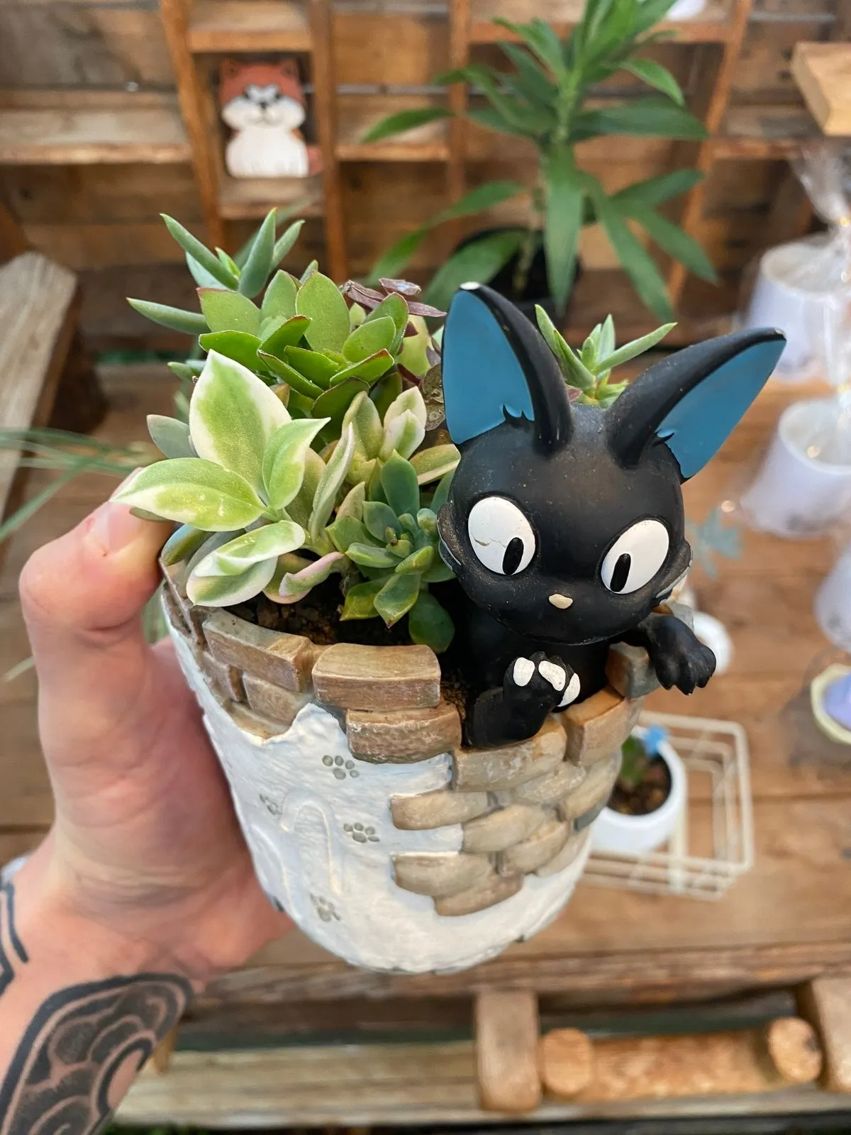 Плошка, где много маленьких растений