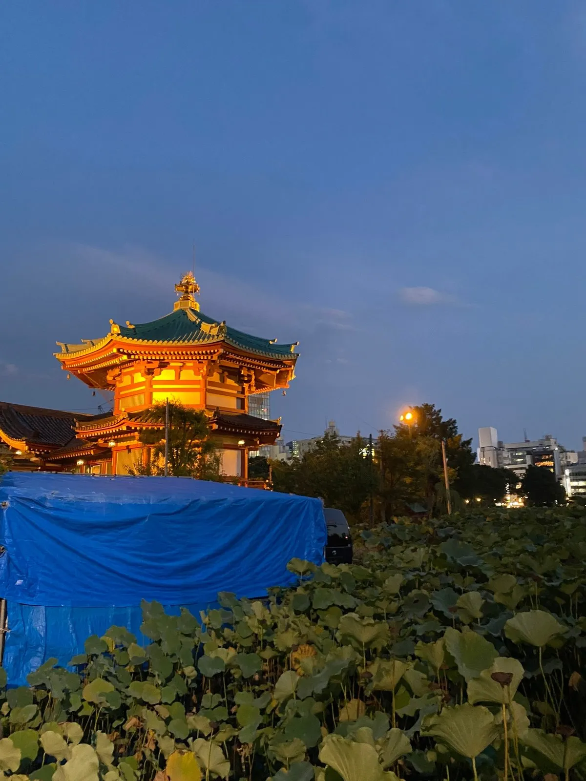 Храм среди лопухов