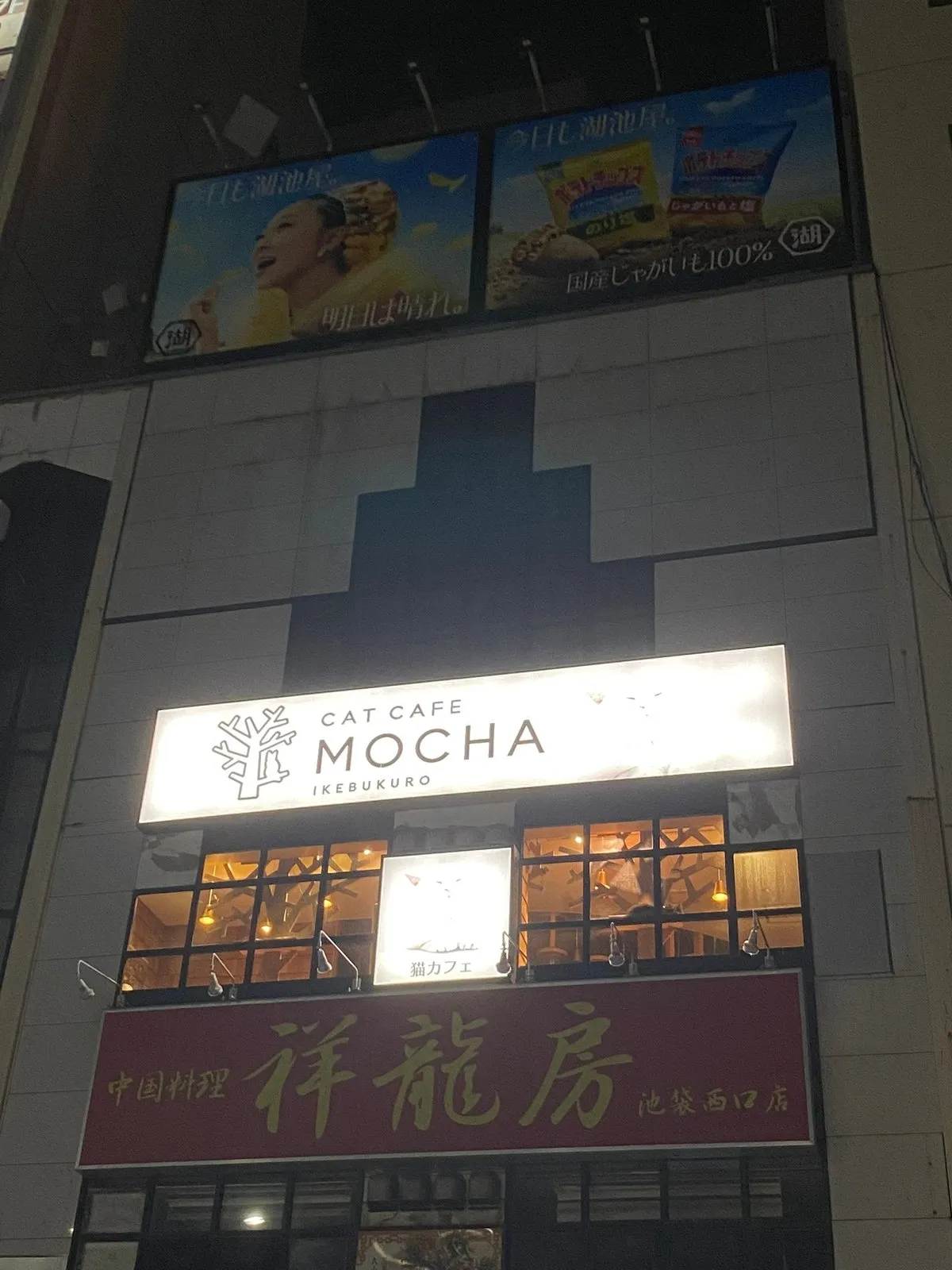 Кошачье кафе «моча». Жду собачье кафе «гавно»