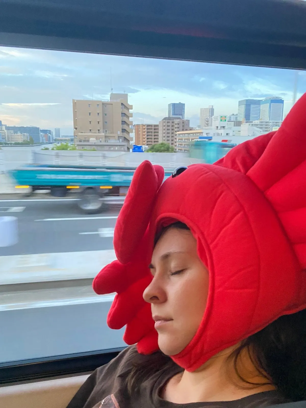 Спит в крабе