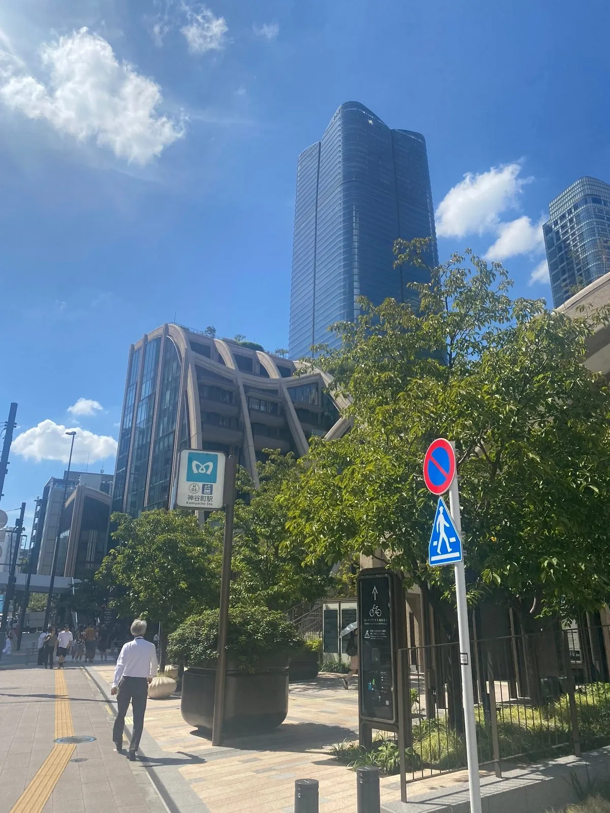 Это тц, под ним тимлаб