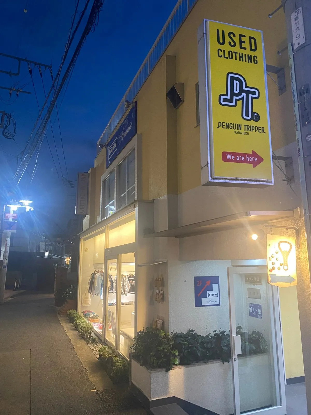 Пингвиний трипер