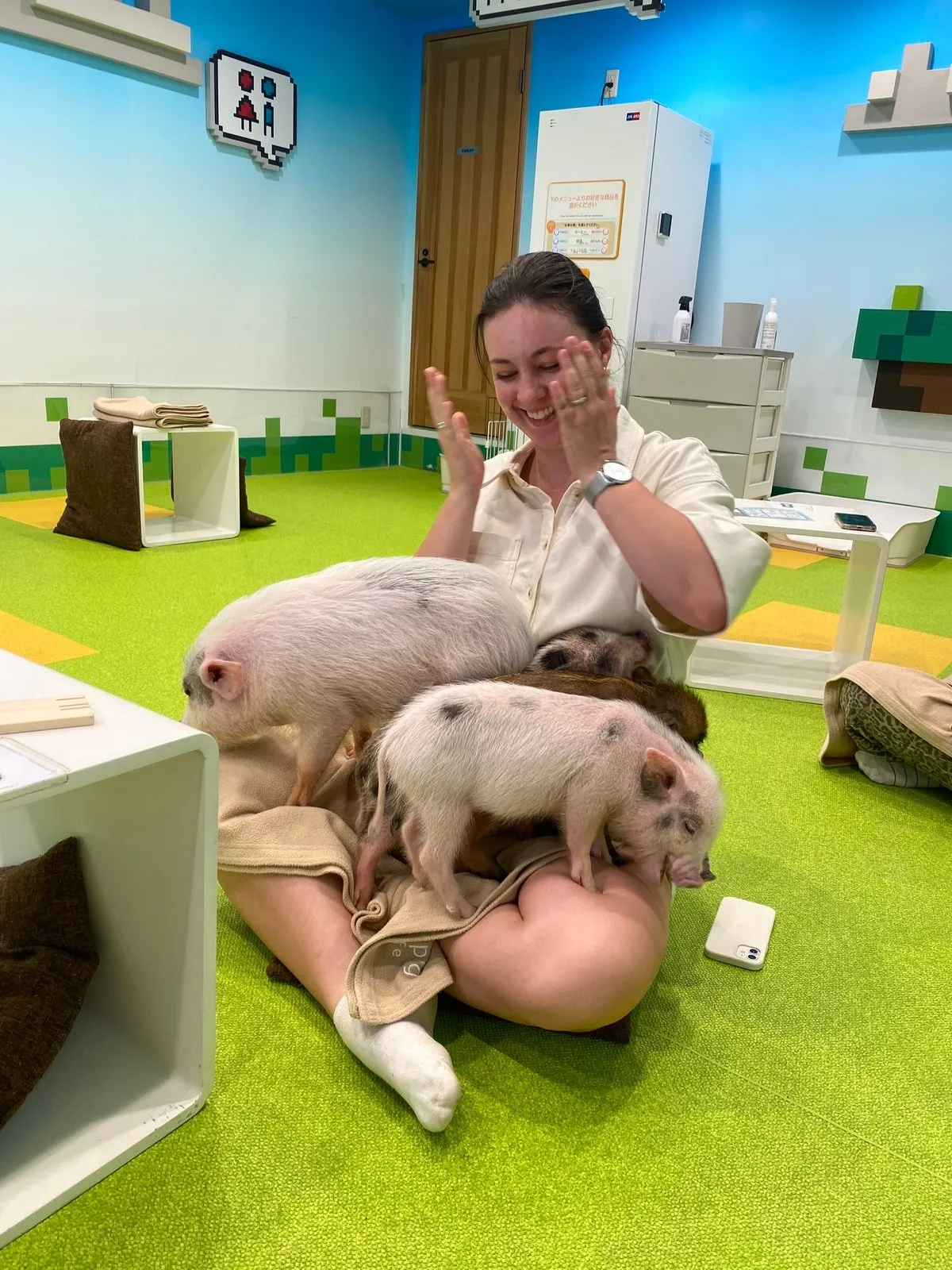 Они довольно тупенькие и любят лежать в куче