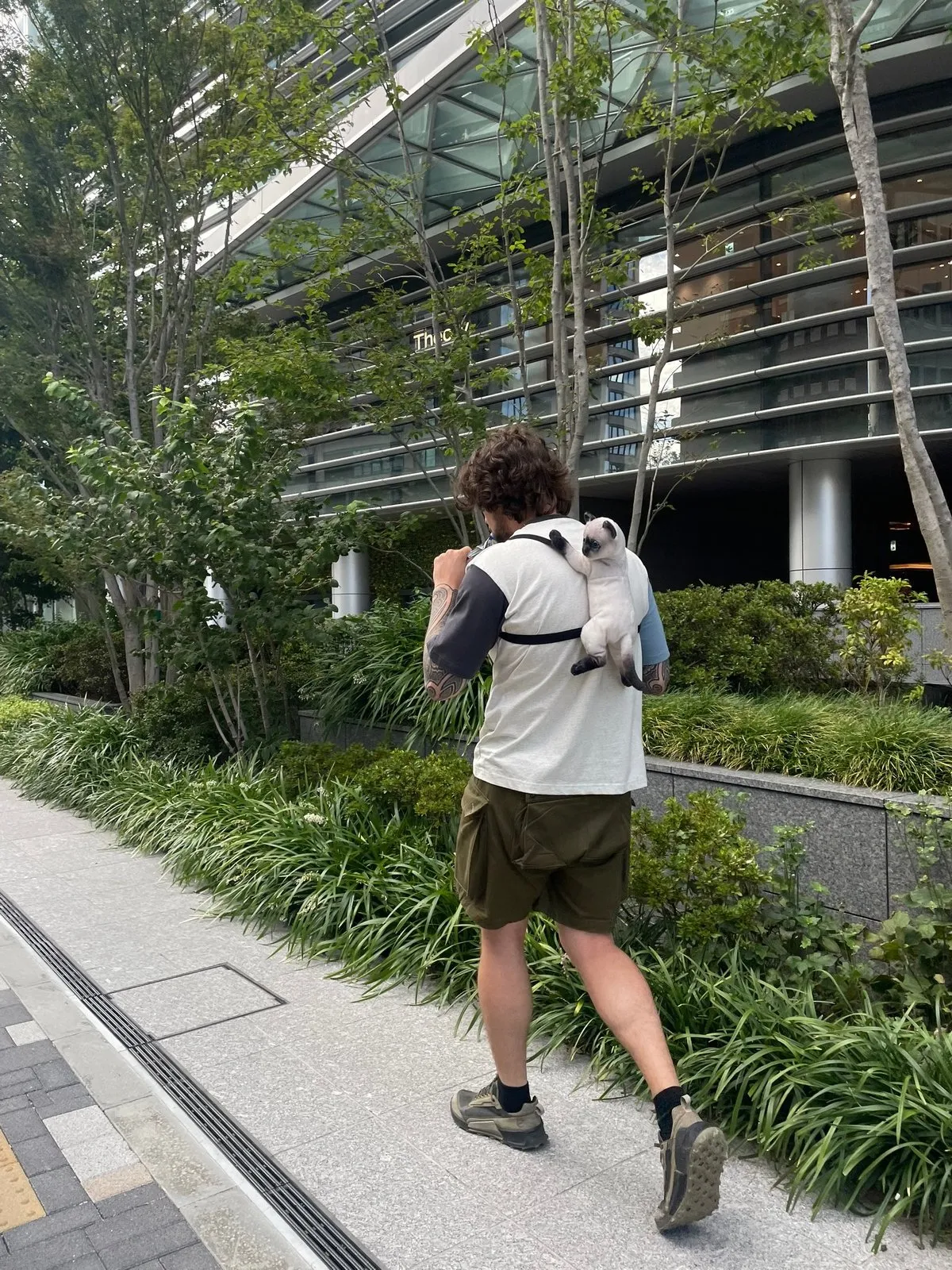 Которюкзак