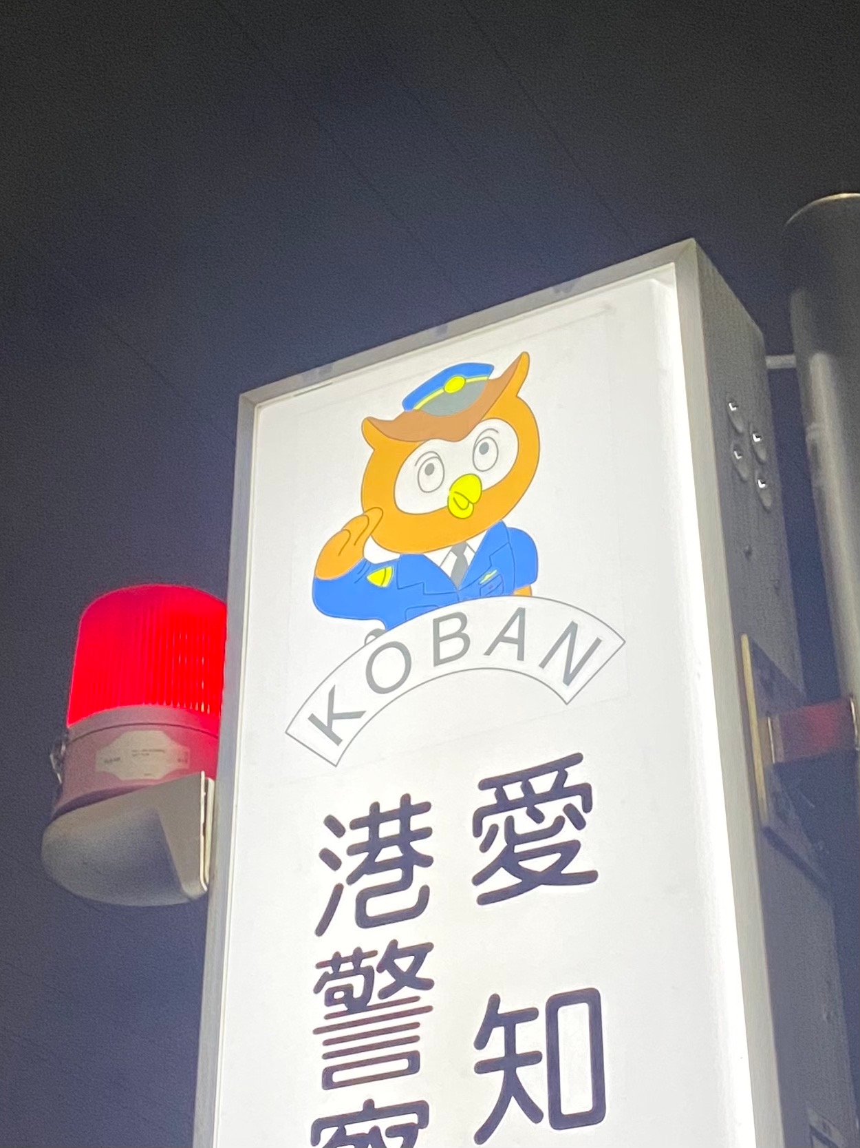 Но ведь это сова