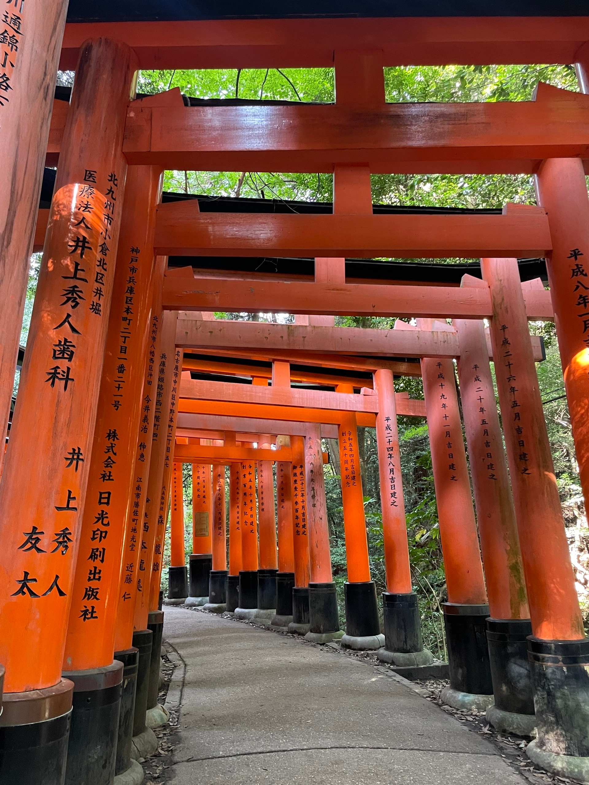 Сами тори. Инари - богиня риса, а рис был раньше как валюта. Так что тори заказывают компании и индивидуальные богачи как тотем для увеличения богатства