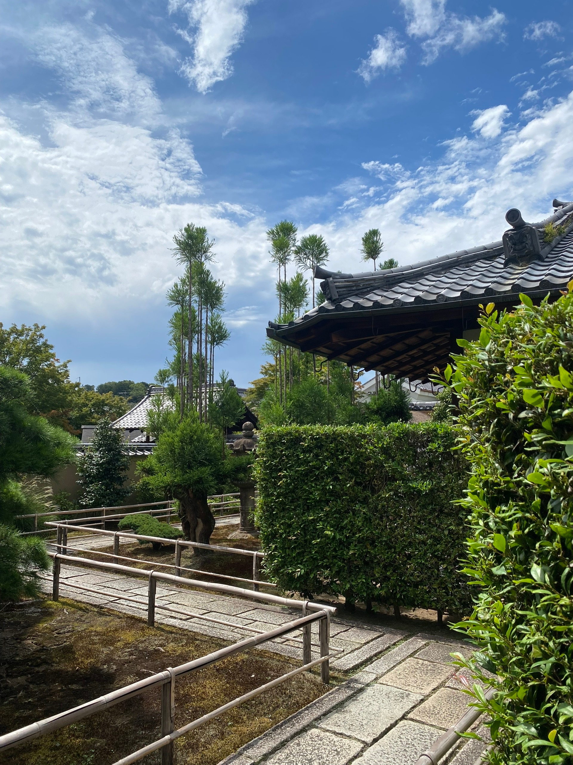 Каждый сантиметр вылизан