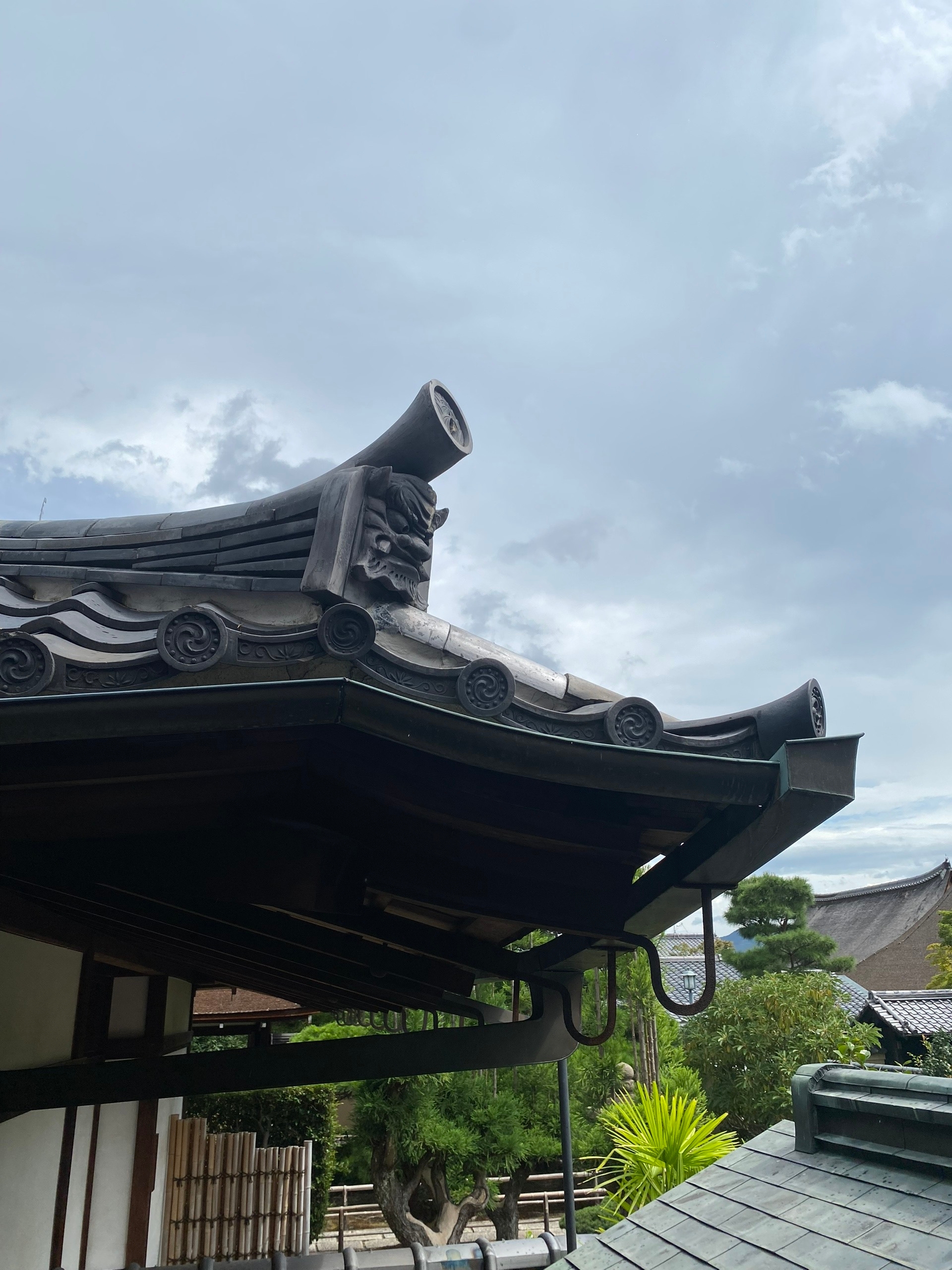 Рожа на крыше