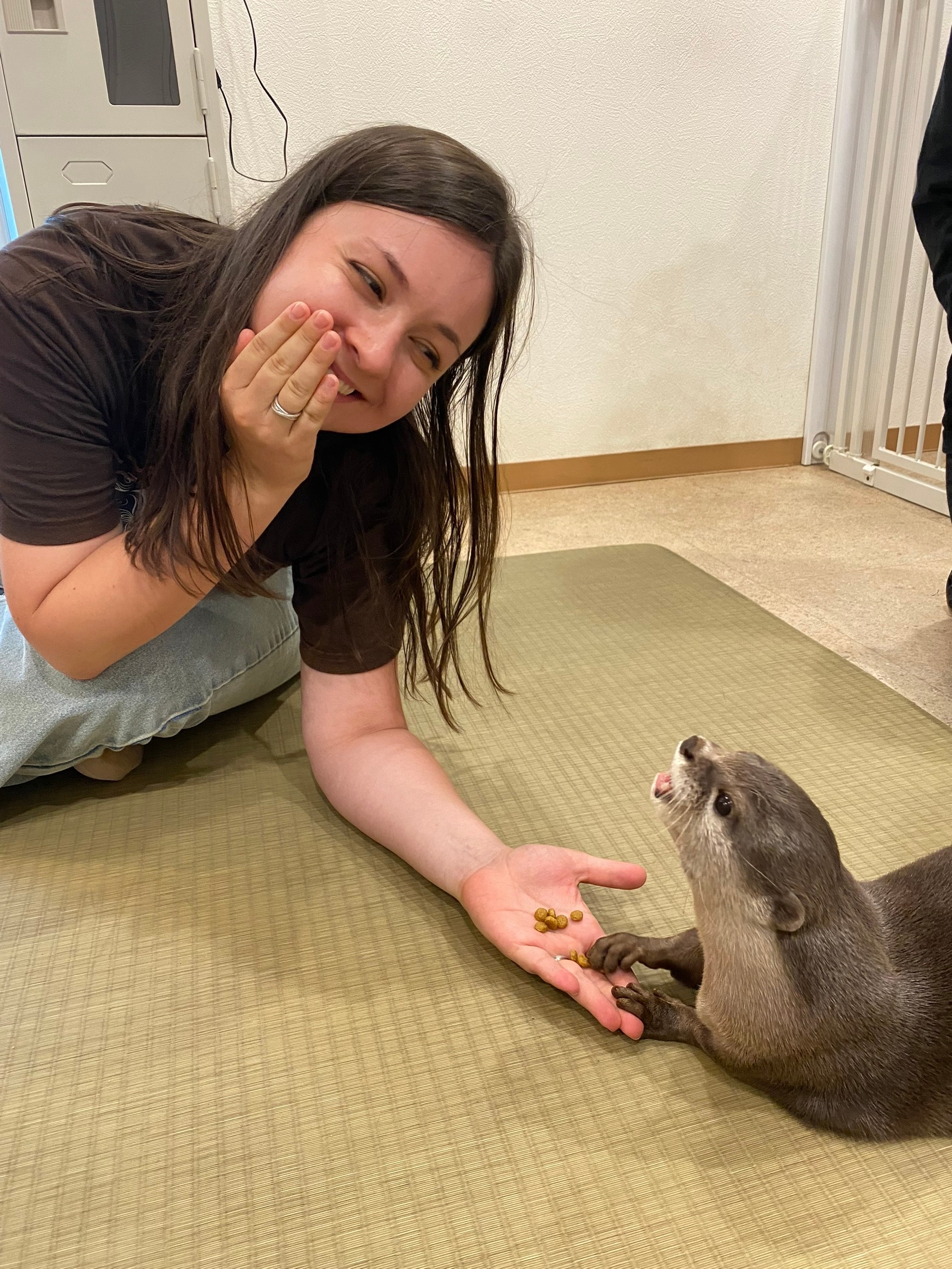 Они бегают как в жопу ужаленные