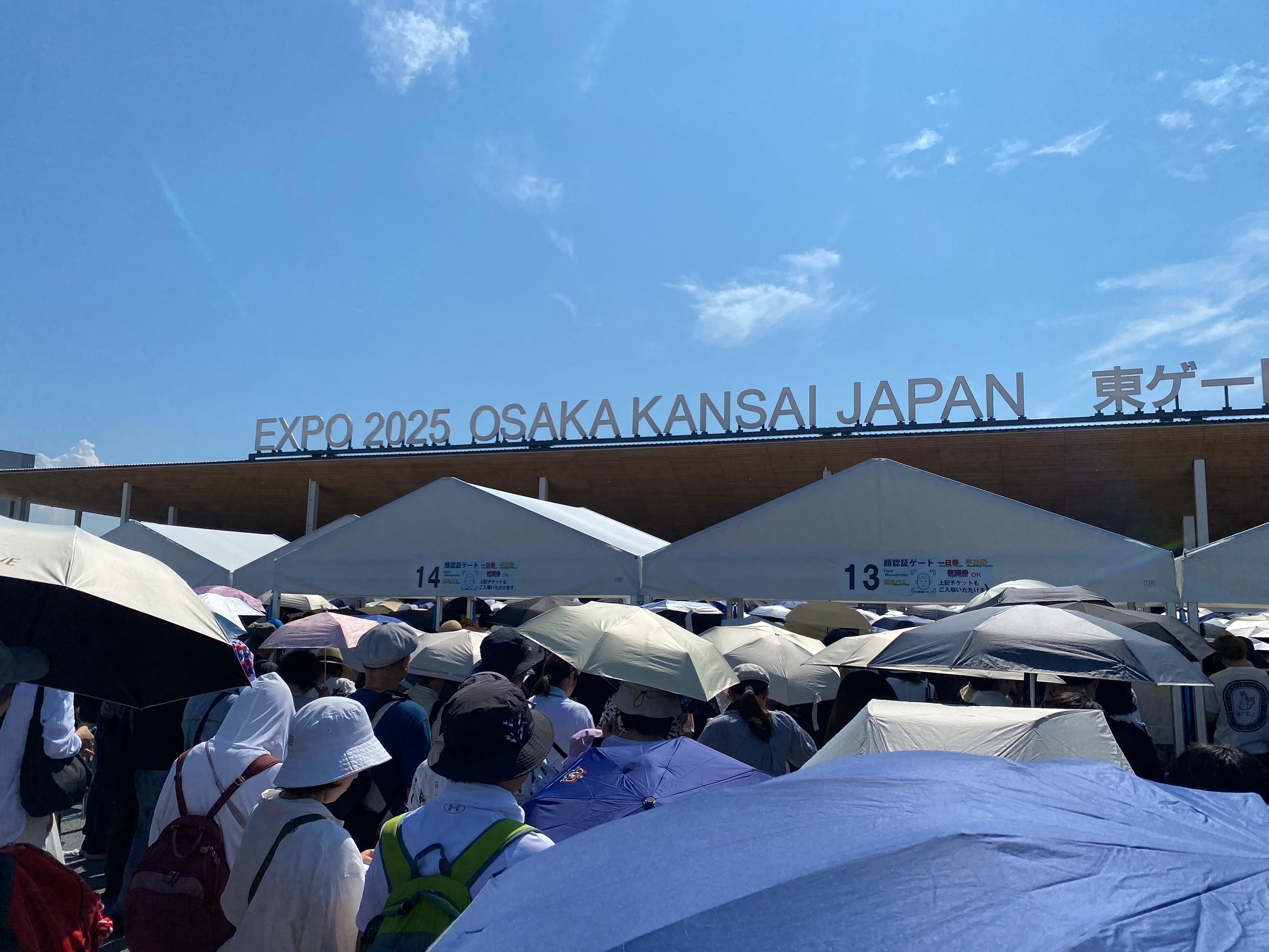 Очередь на экспорт огромная и жара невыносимая. Мне подурнело и я чуть в обморок не шлёпнулся но окружающие помогли