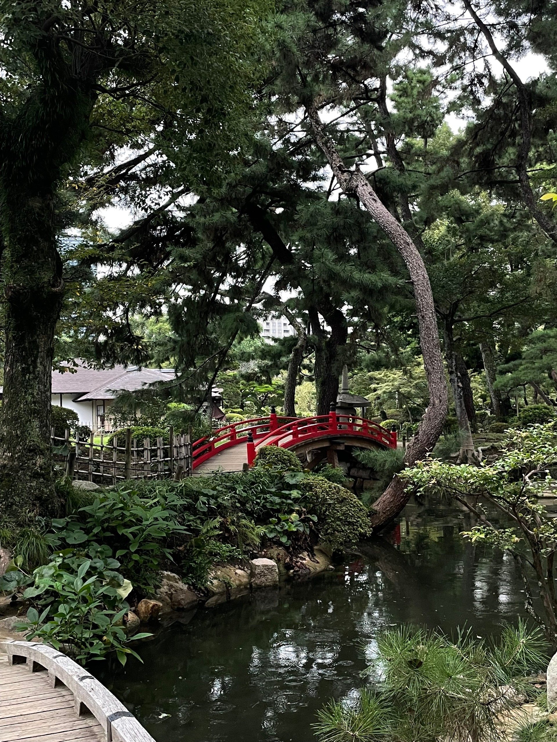 Примечателен тем что во время взрыва бомбы тут оставались поломанные деревья из которых можно было укрытие соорудить. Потому что весь остальной город сравняло с землёй