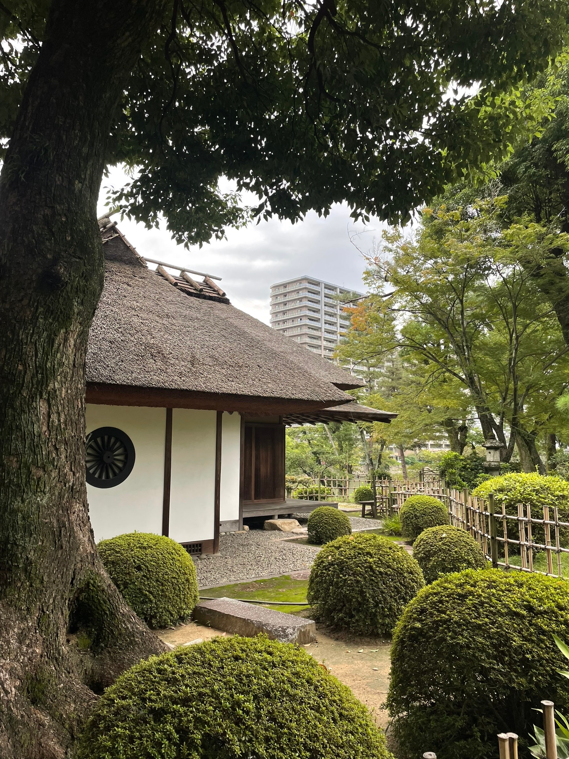 Беженцы тут собирались и умирали от лучевой болезни и травм