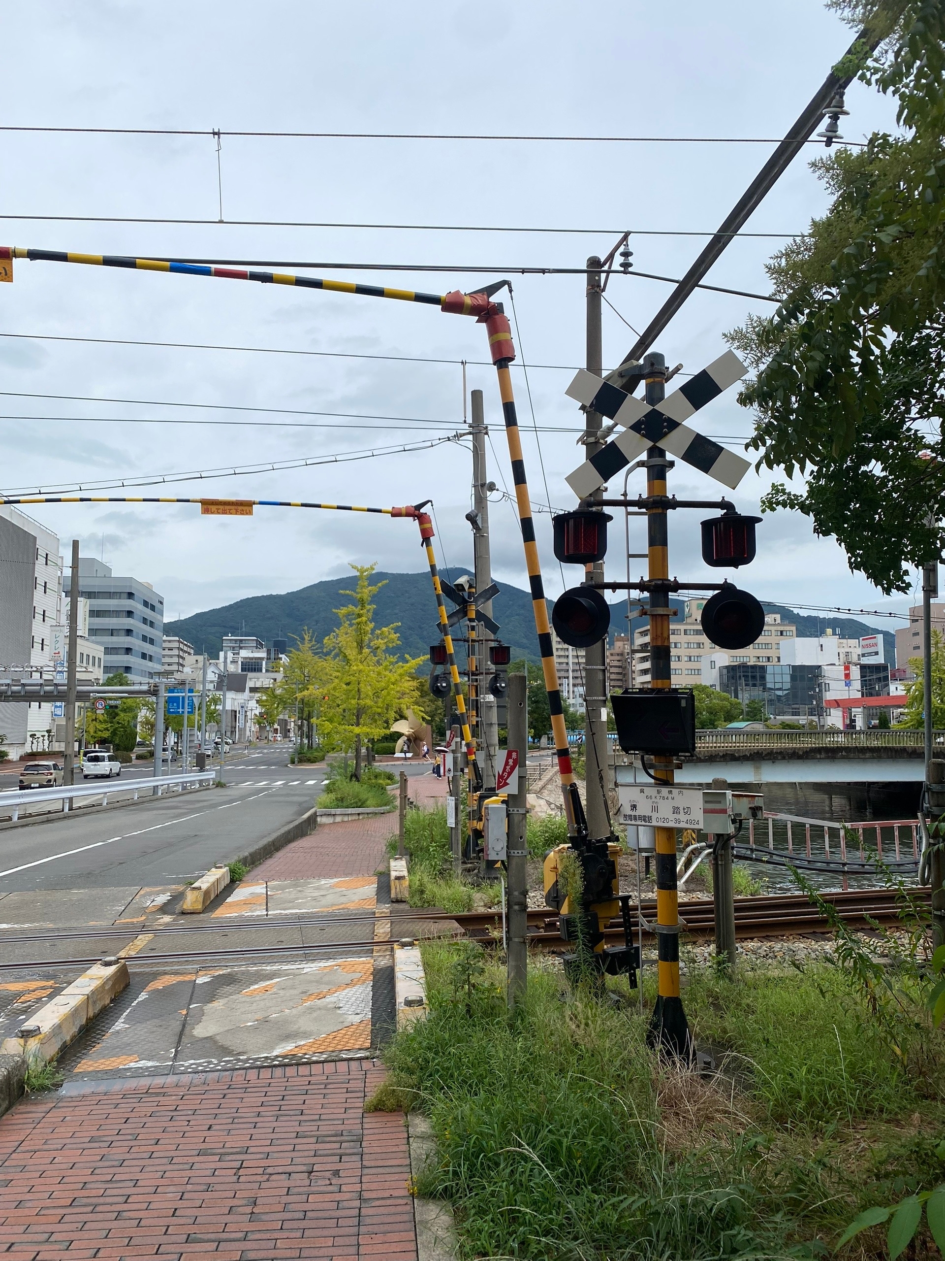 Шлагбаум-богомол