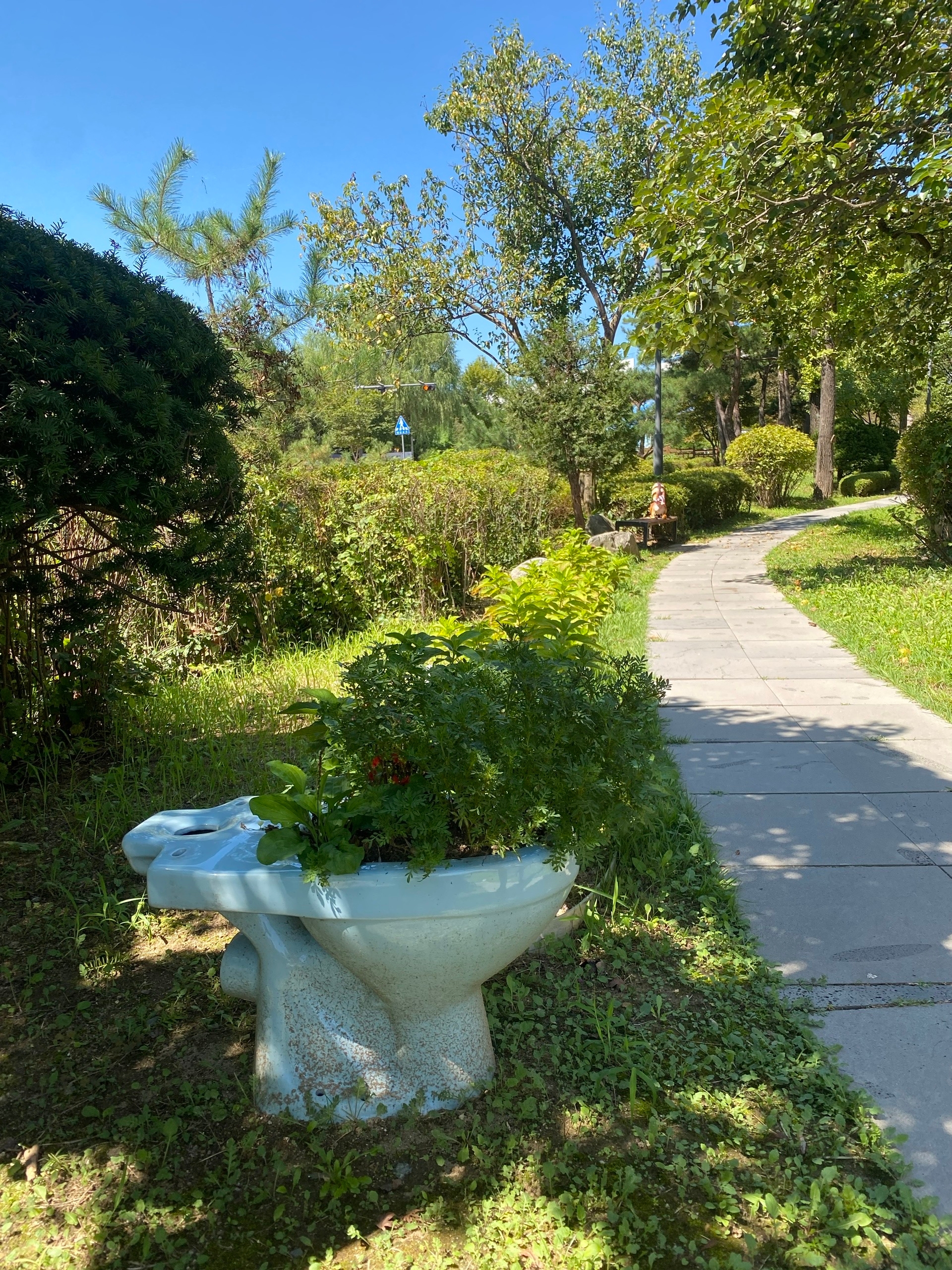 Толчкоплошка