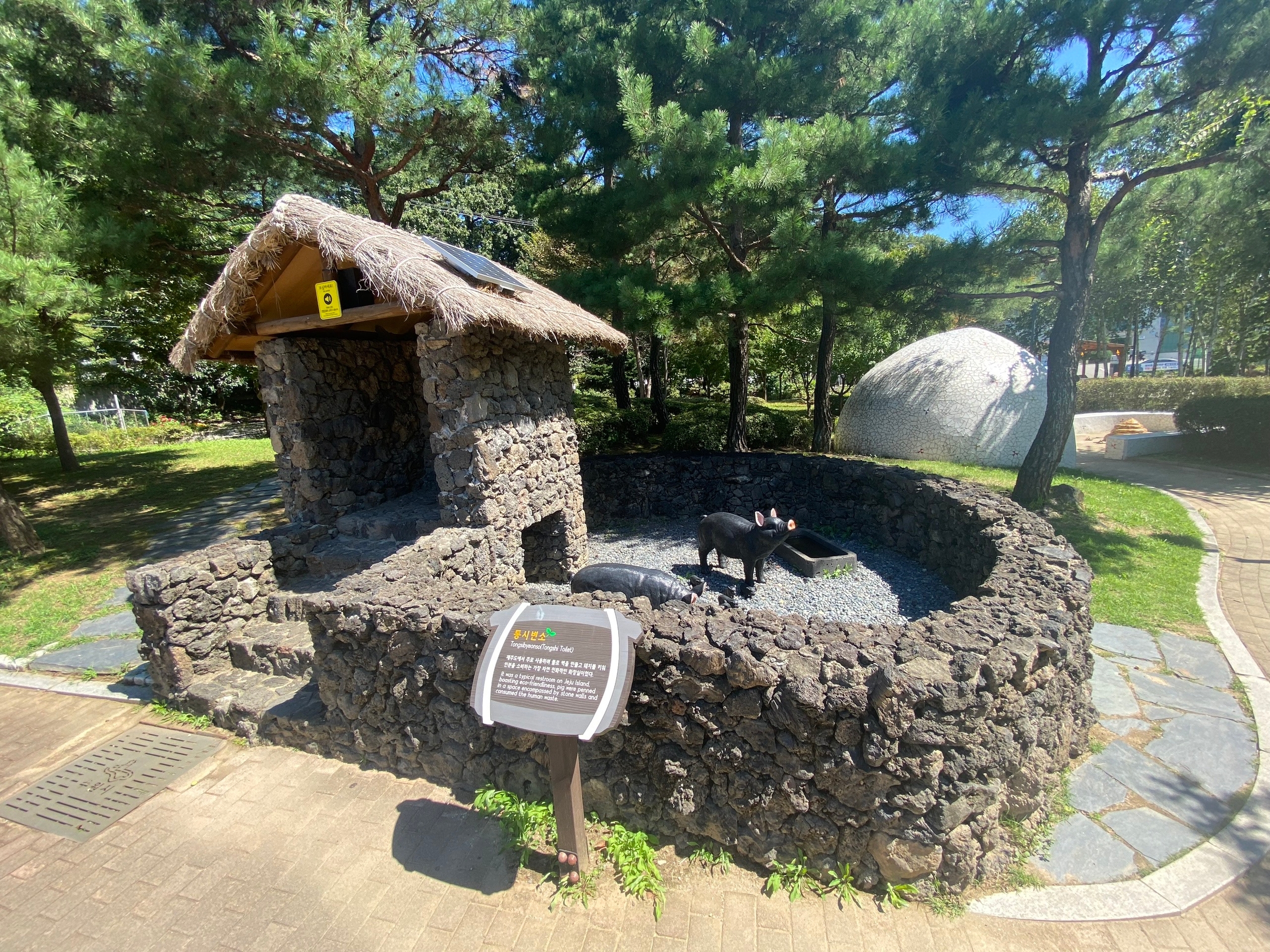 Можно срать поросю на голову