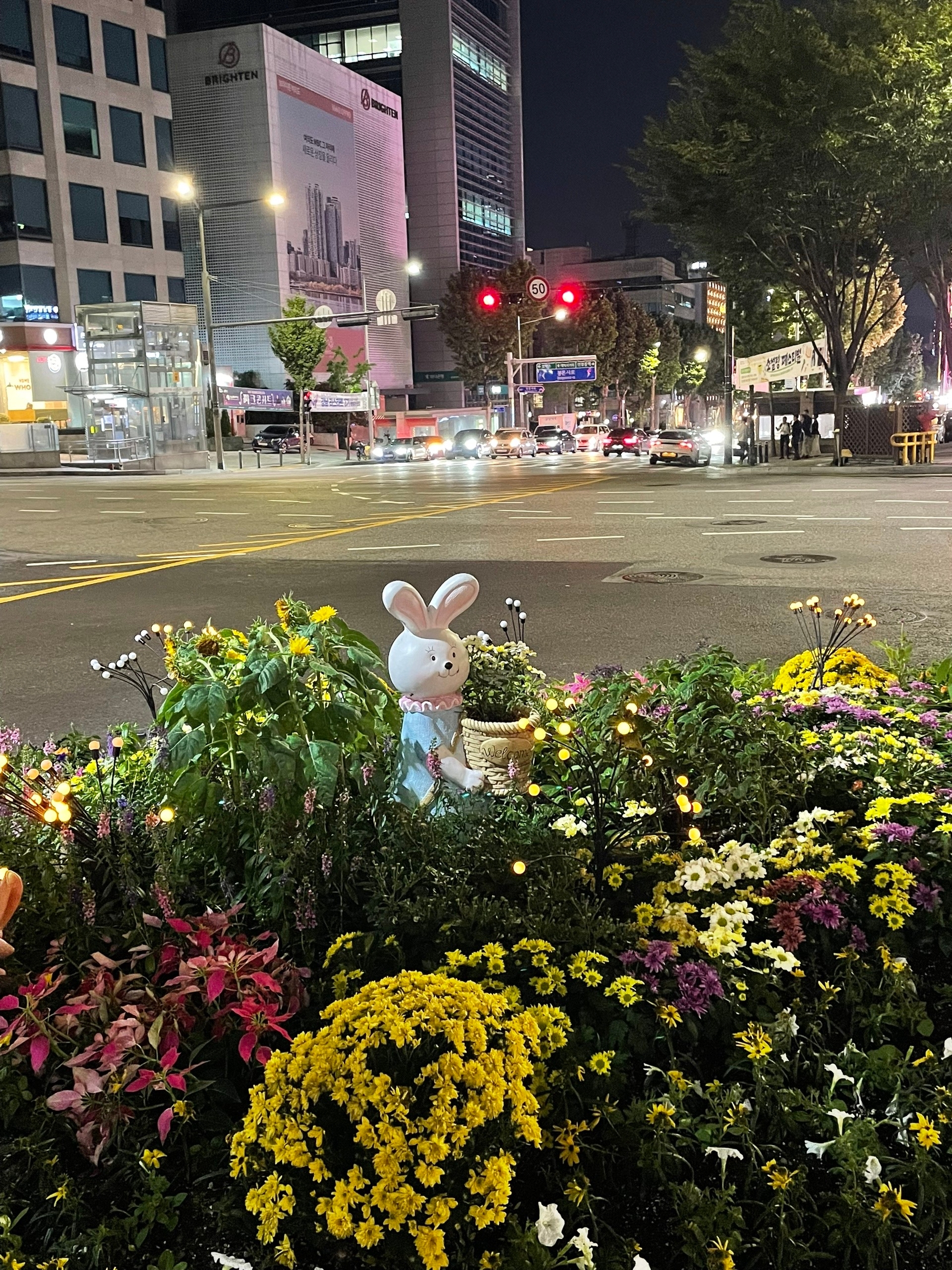 Заяц в клумбе