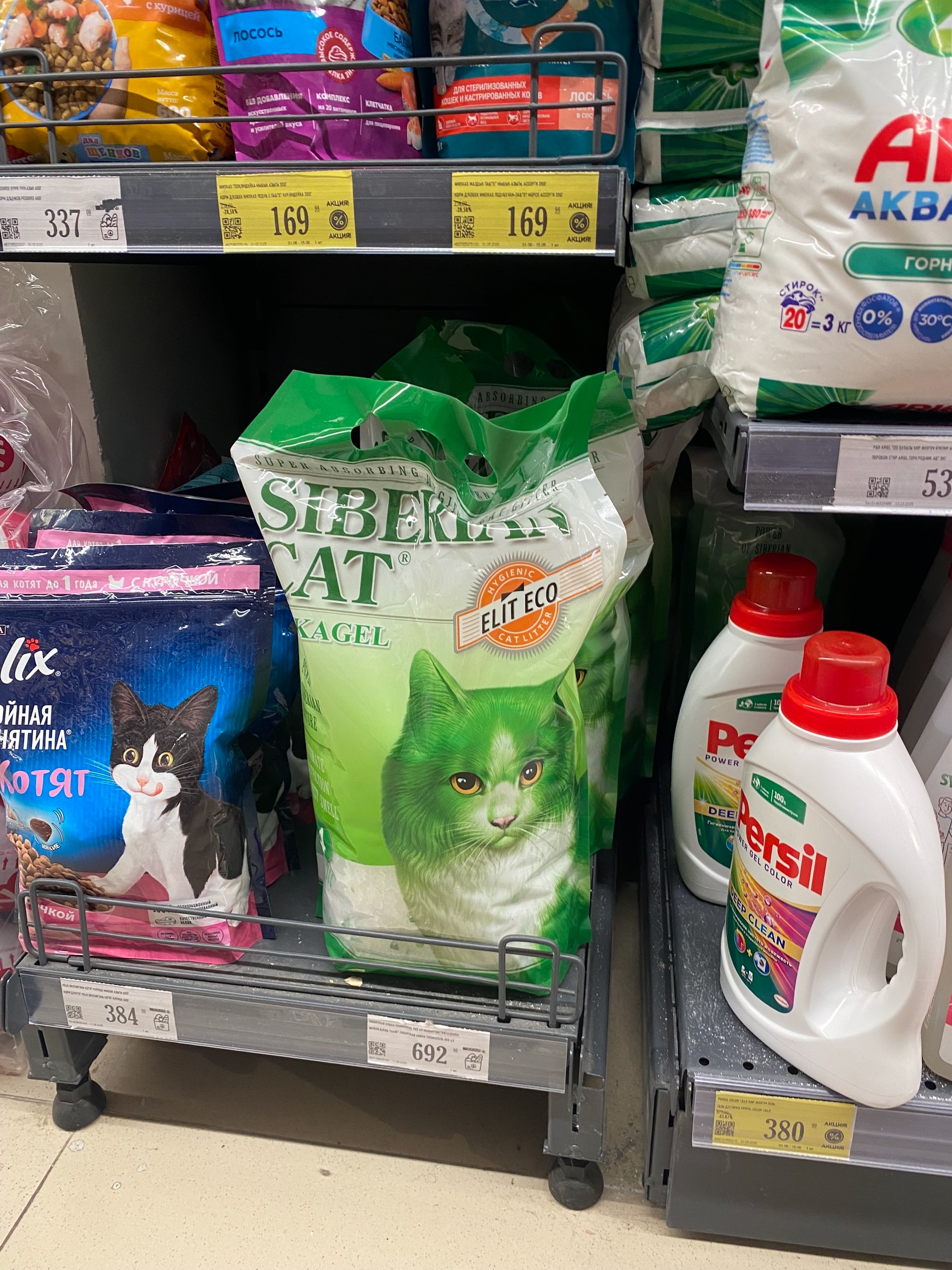 Зелёный кот