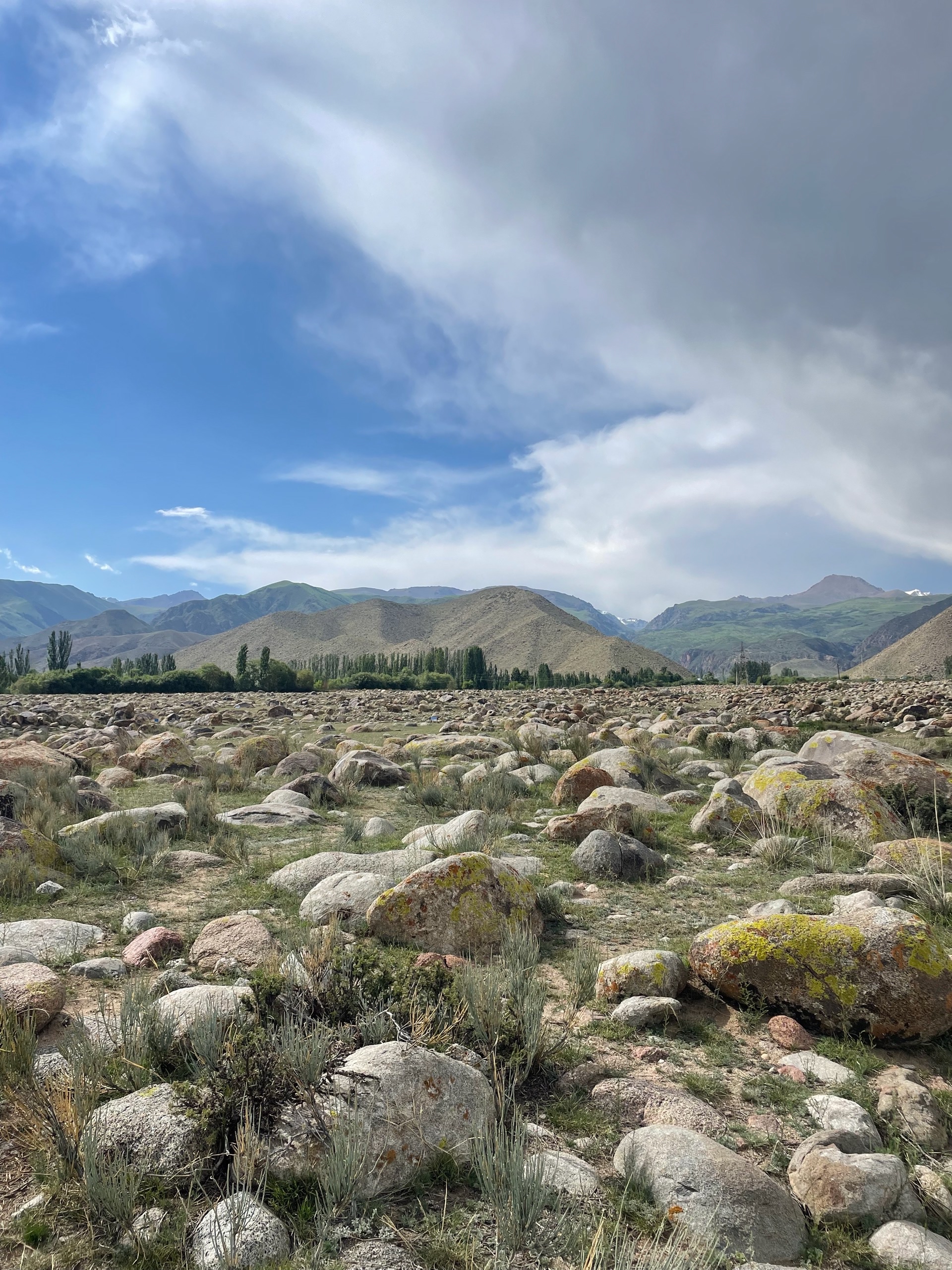 Музей петроглифов под открытым небом. На некоторых камнях рисунки, в основном сцены охоты на козликов