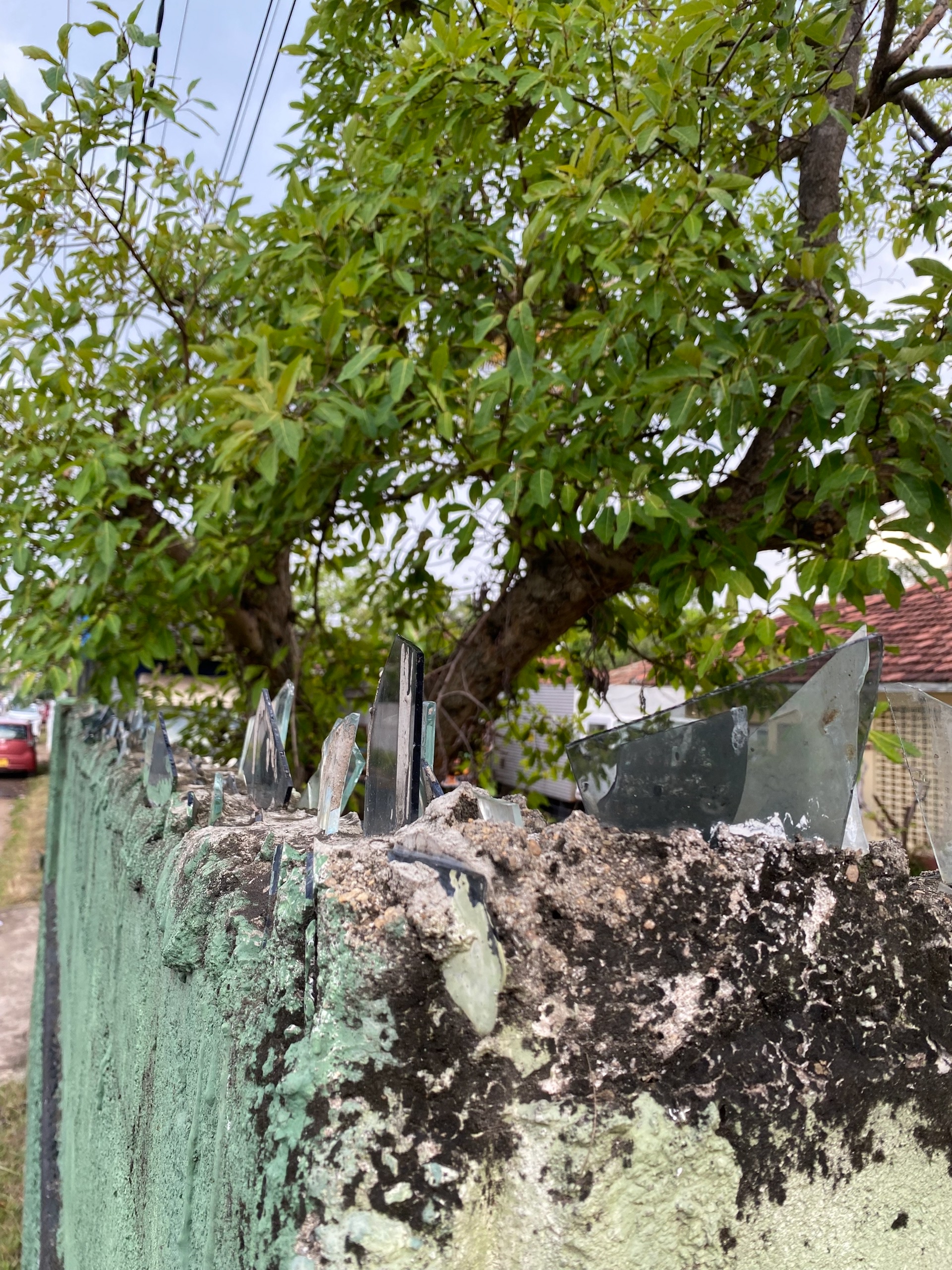 Вместо колючки