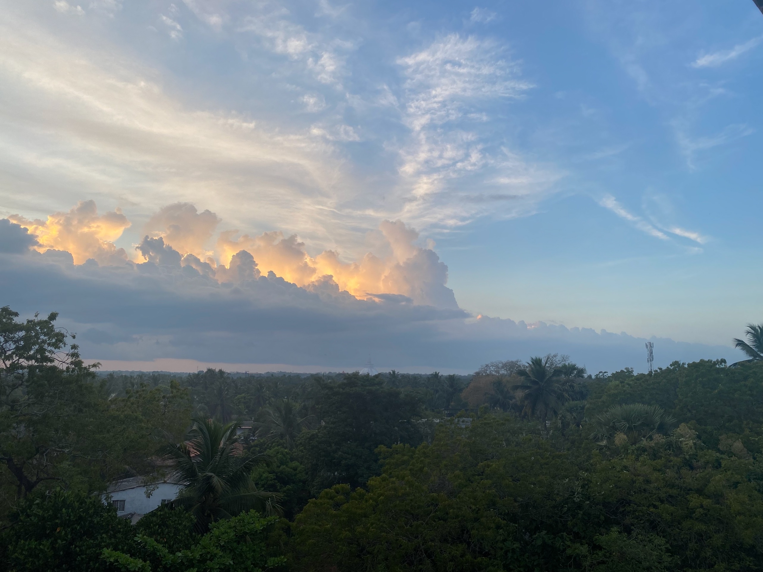 Вид с крыши