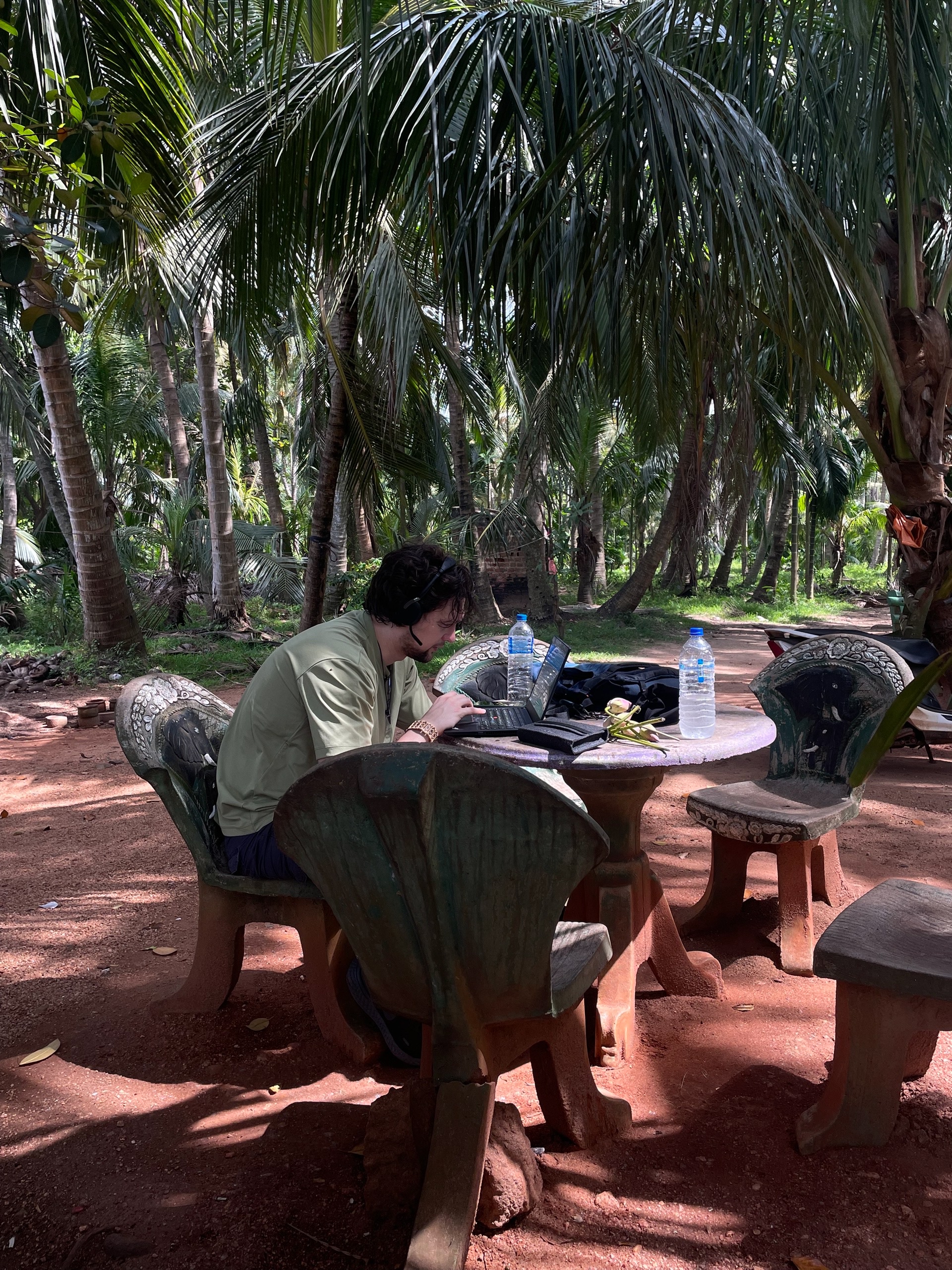 Бубню под сенью палем