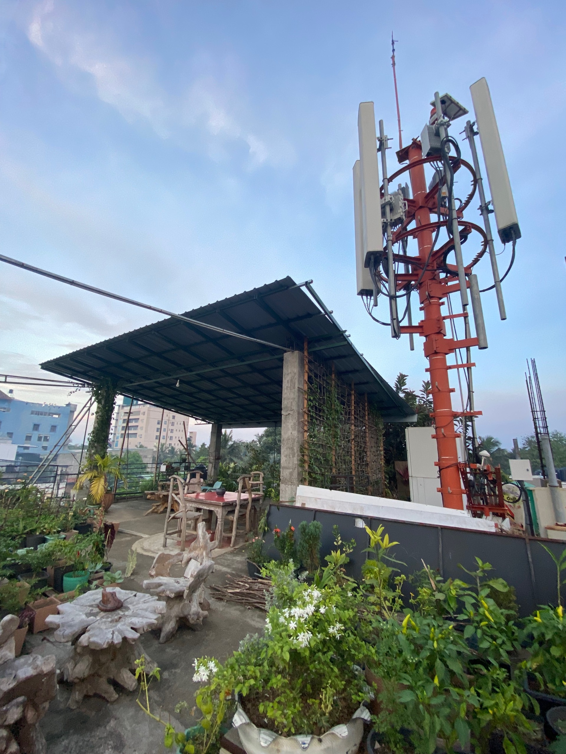 Вышка облучает кусты