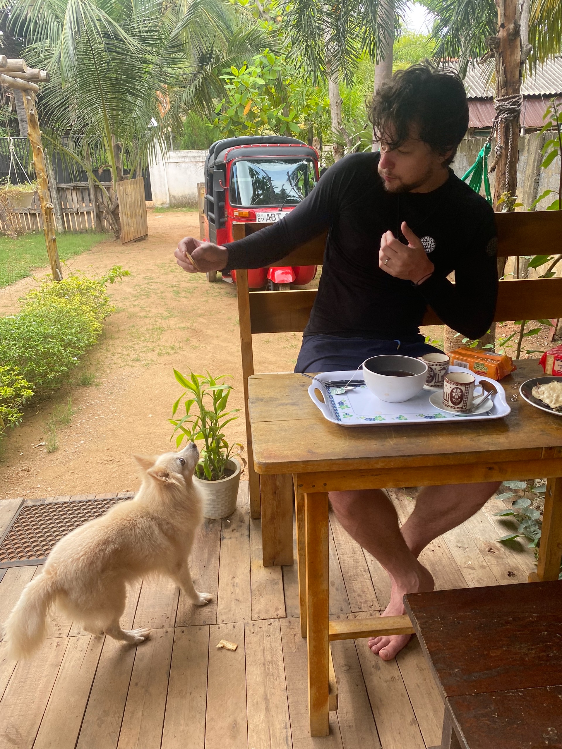 Кормлю псину печеньем