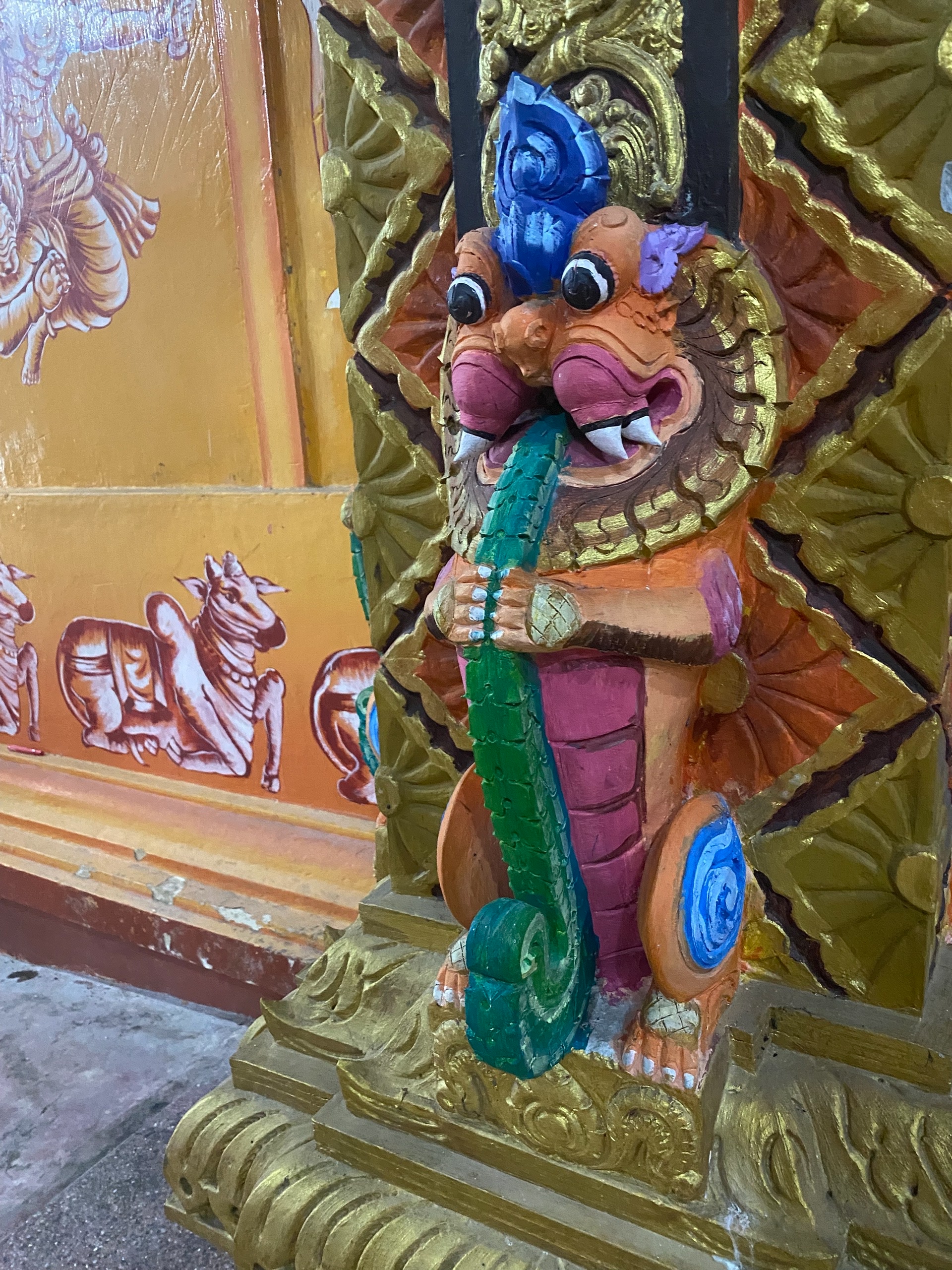 Кот жуёт щавель?