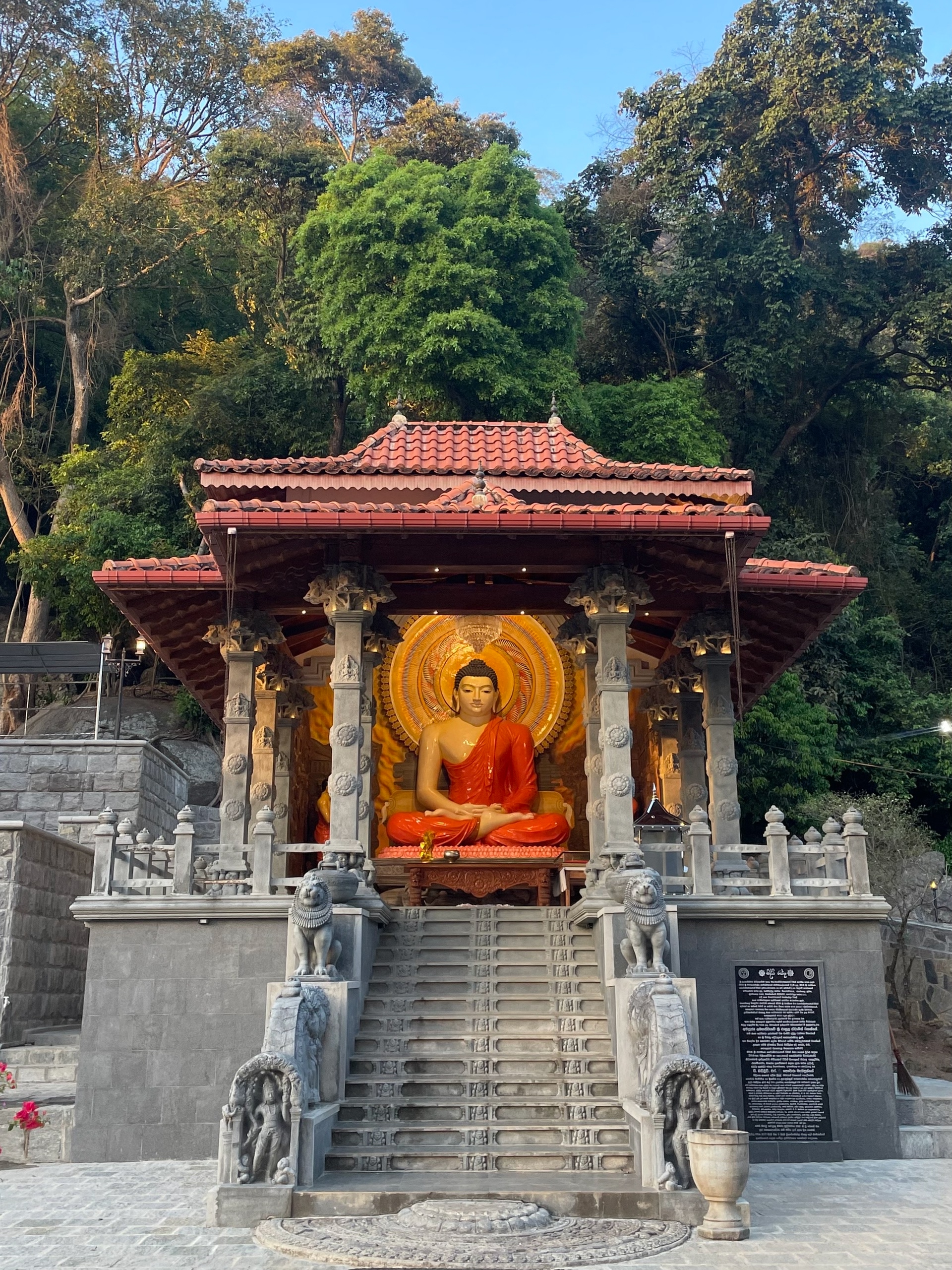 Сидит, просветляется