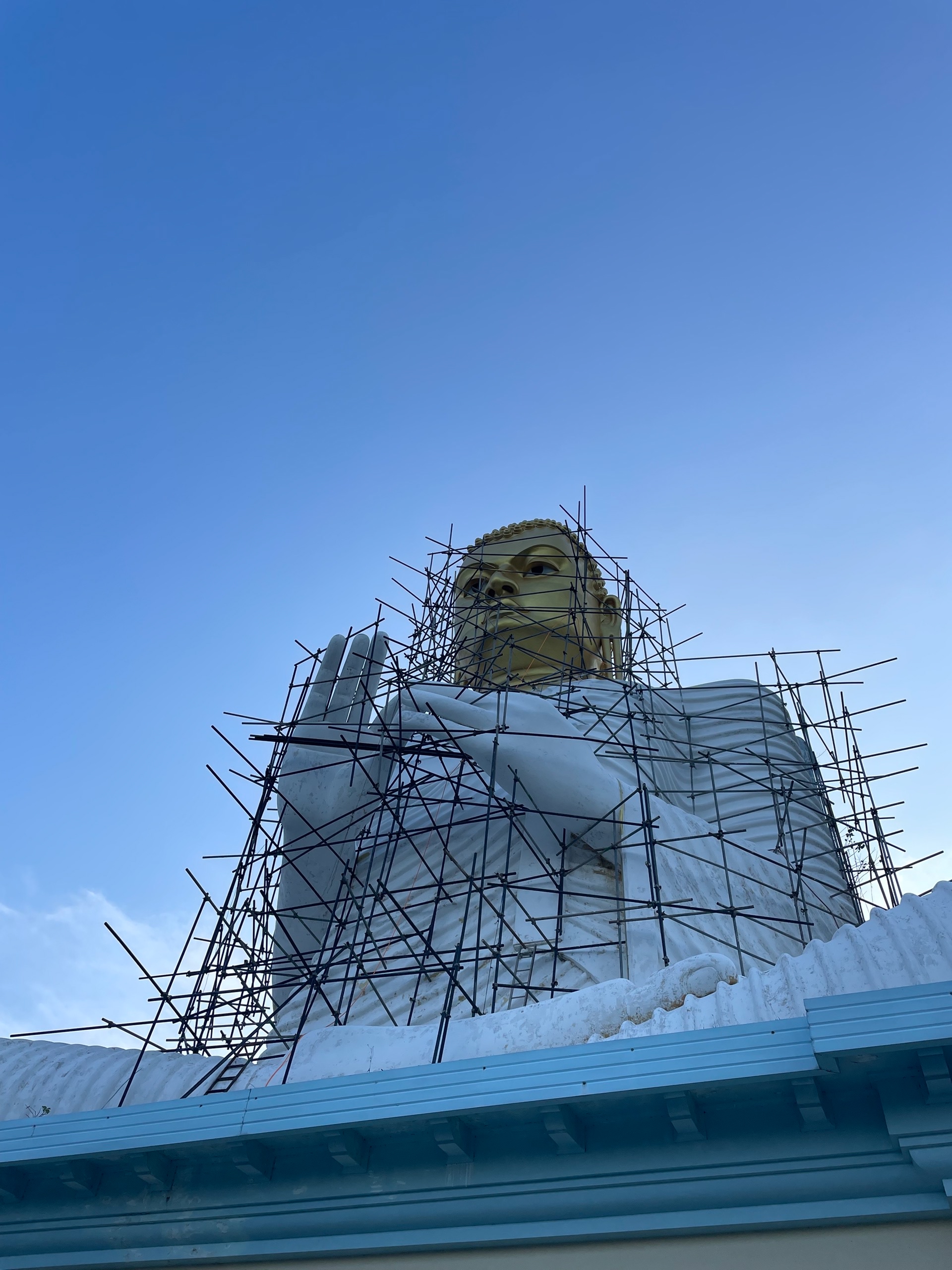 Из за лесов выглядит как чел из хоррора хеллрейзер