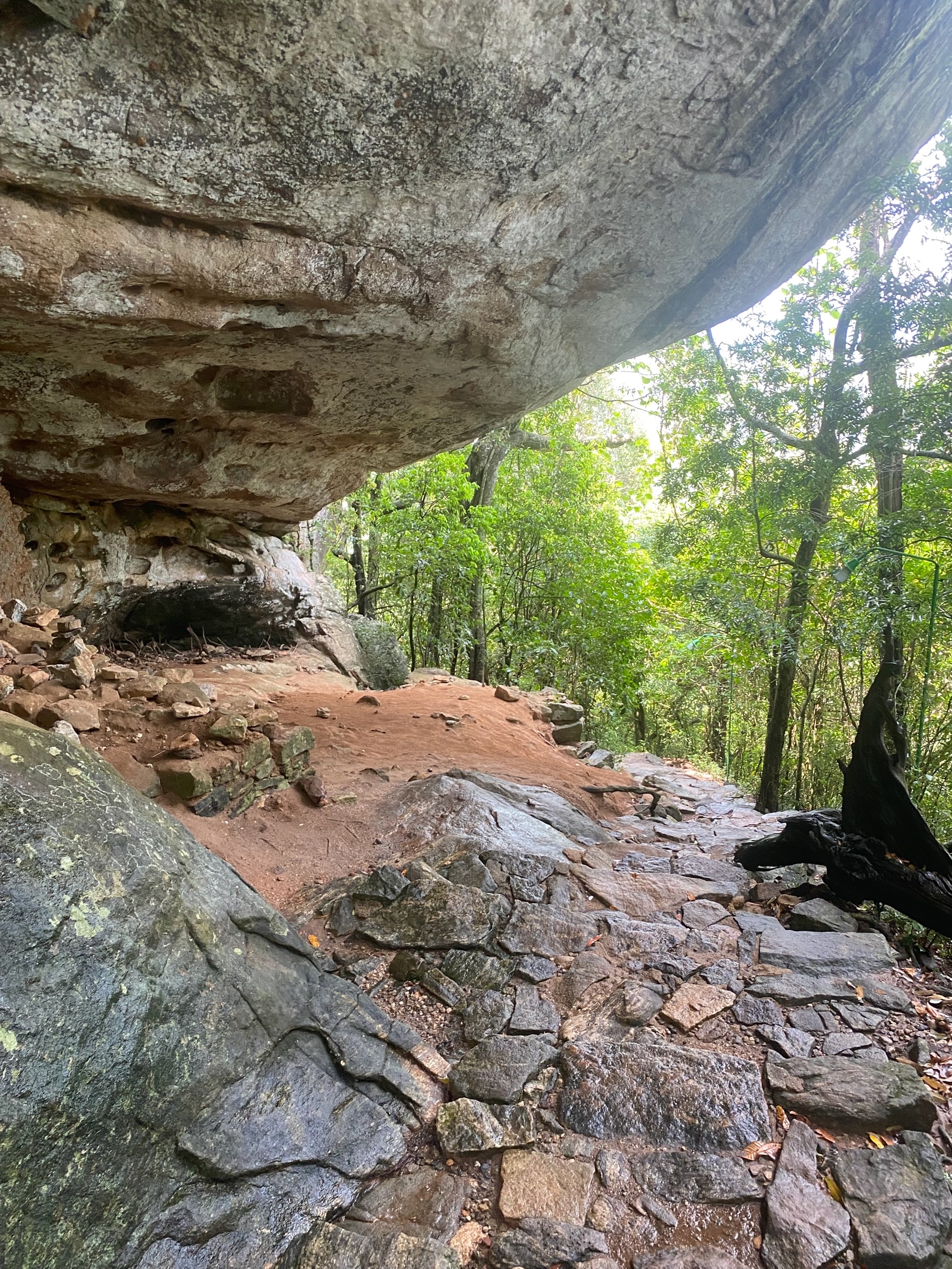 Тропа с горы