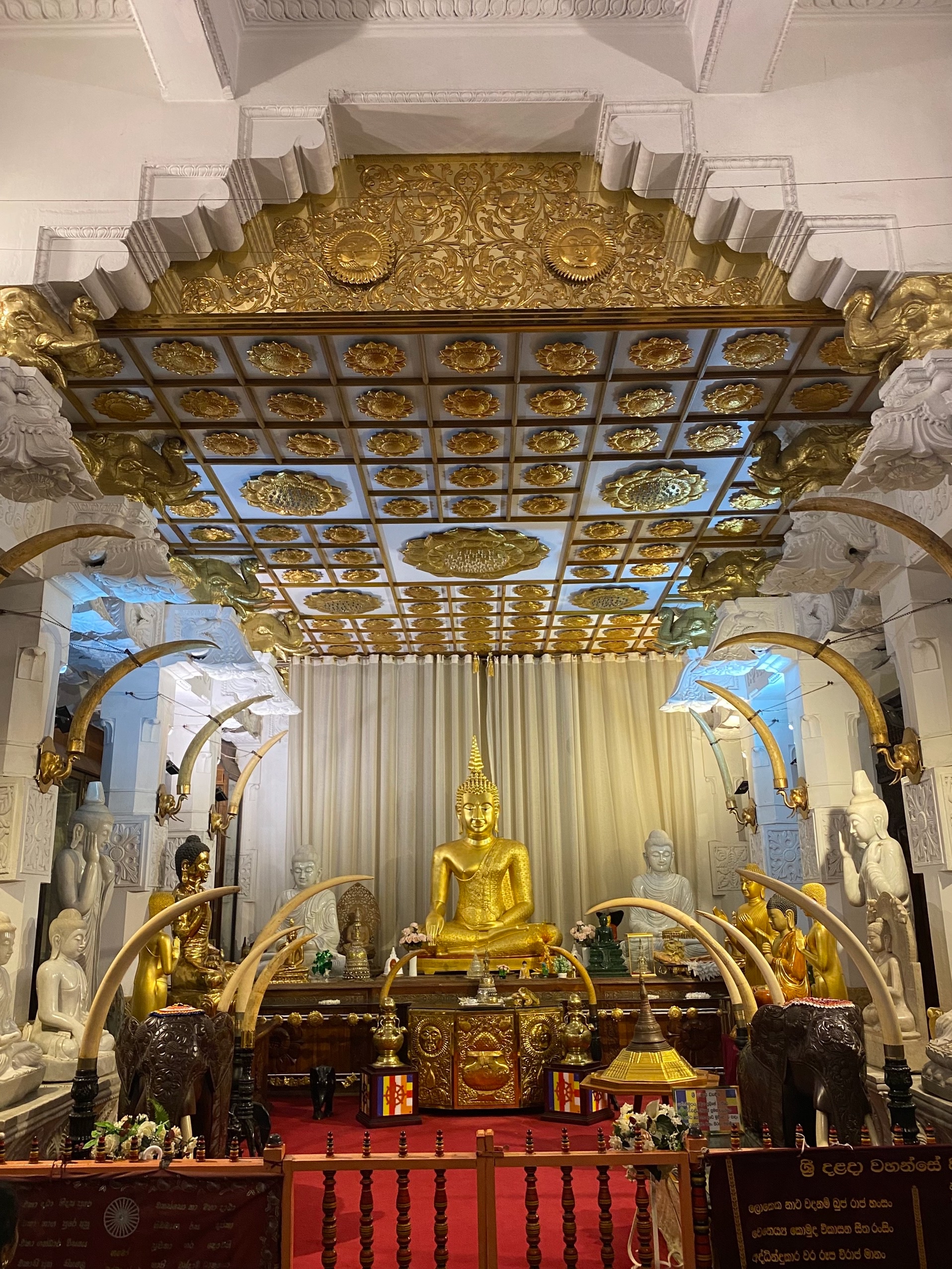 Мужик сидит в бивнях