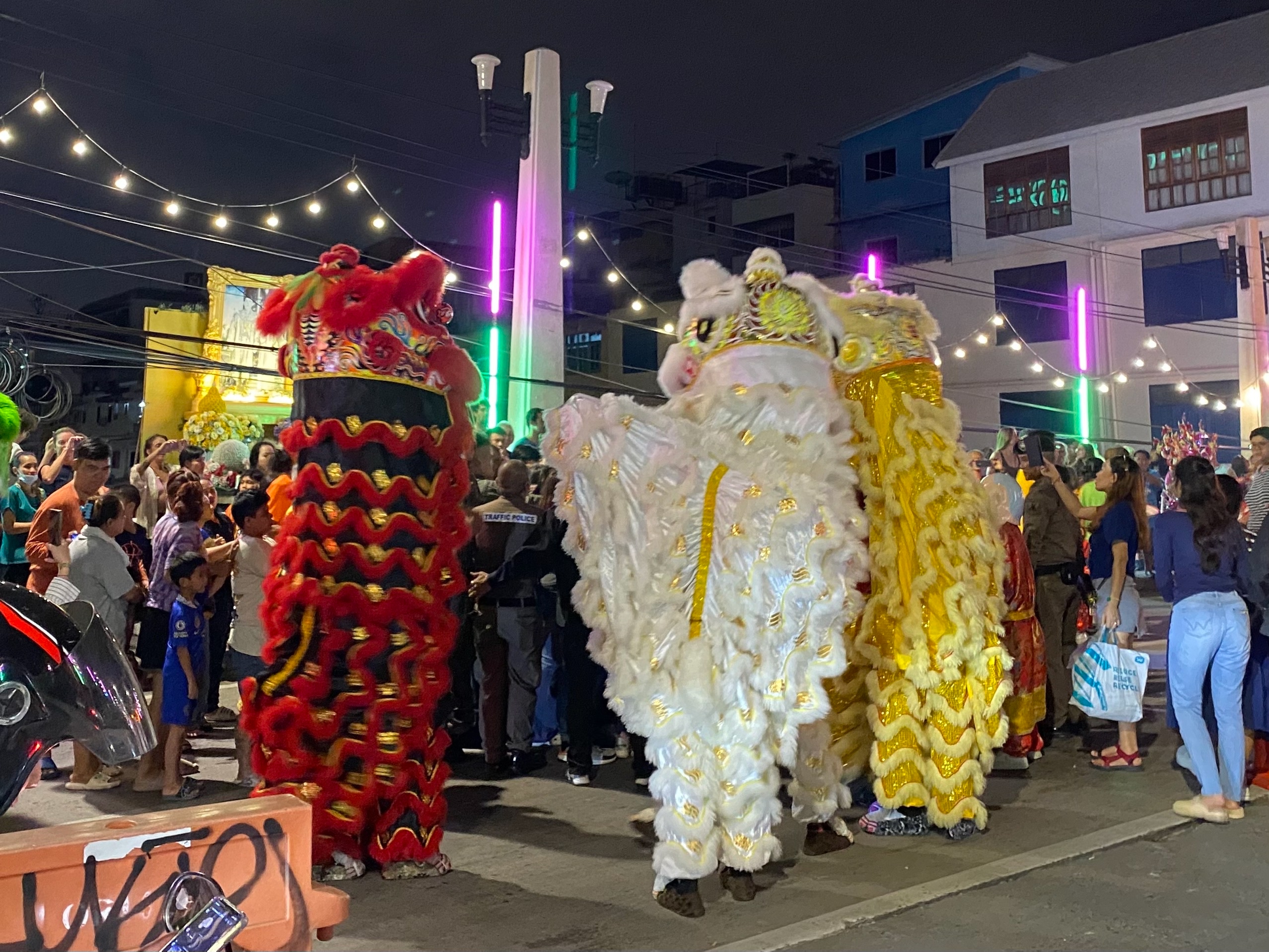 Это должно было выглядеть как драконы поменьше но выглядит как ожившая лапша