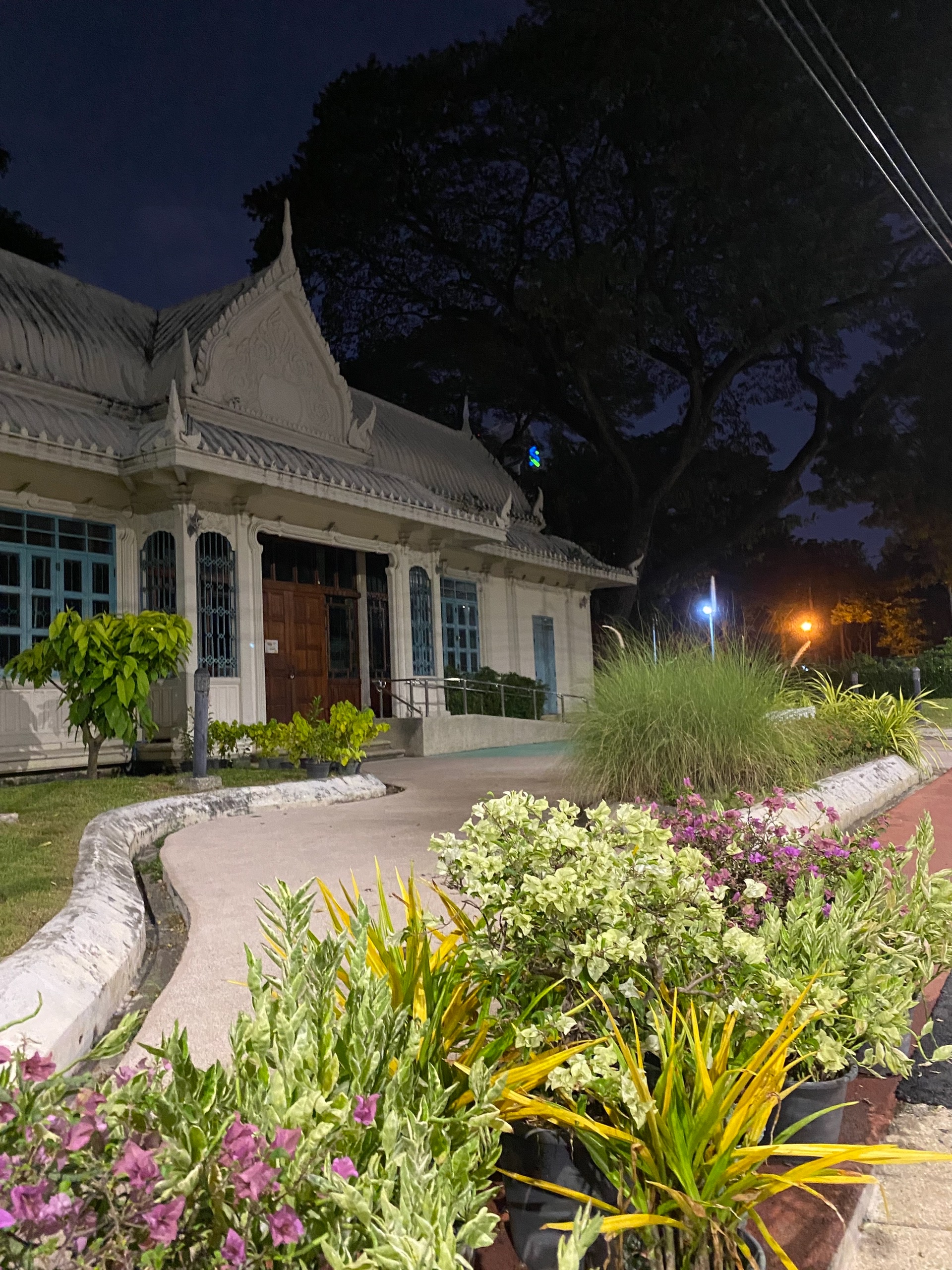 Домина парковая