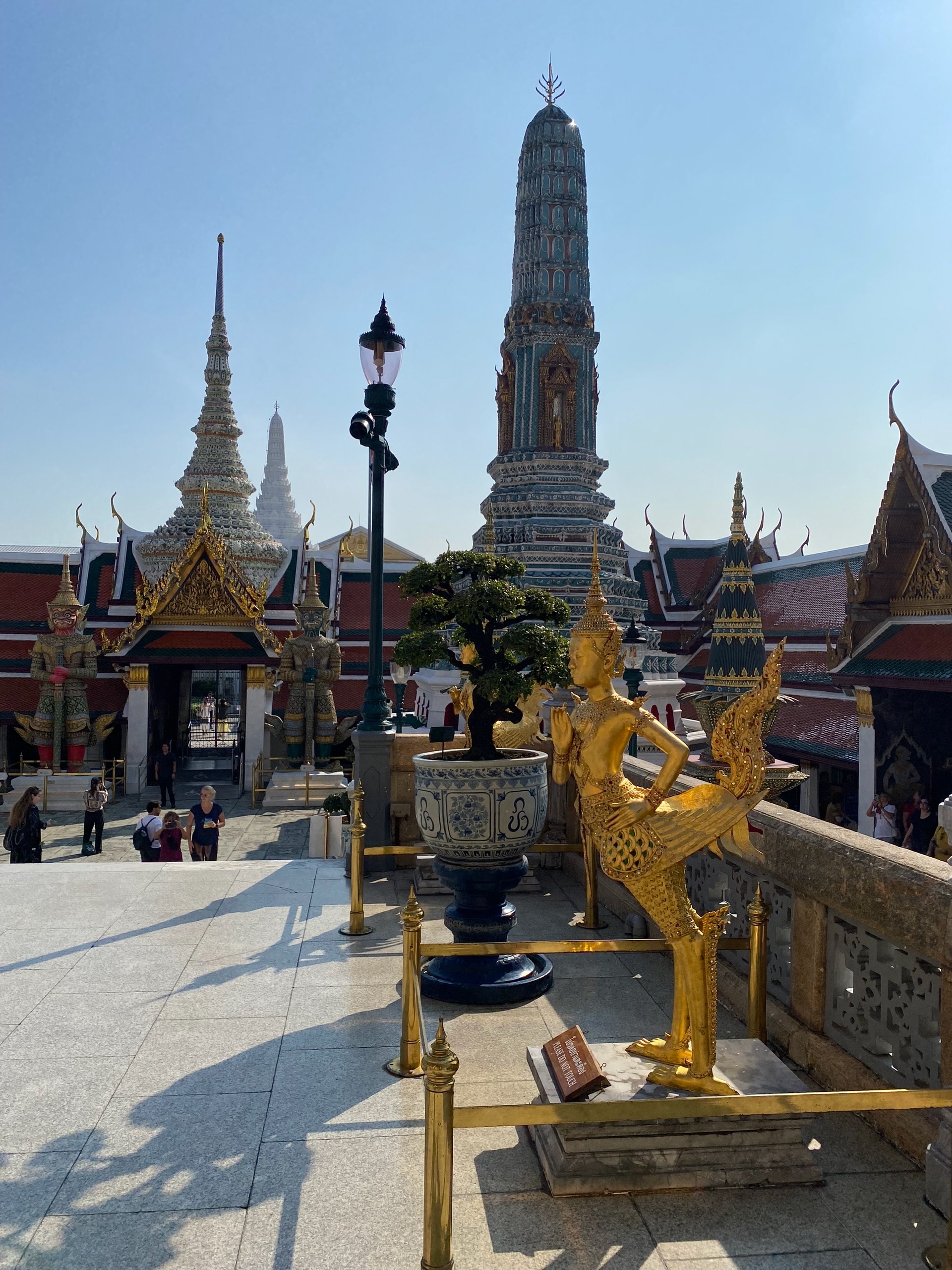 Человек - пэтух