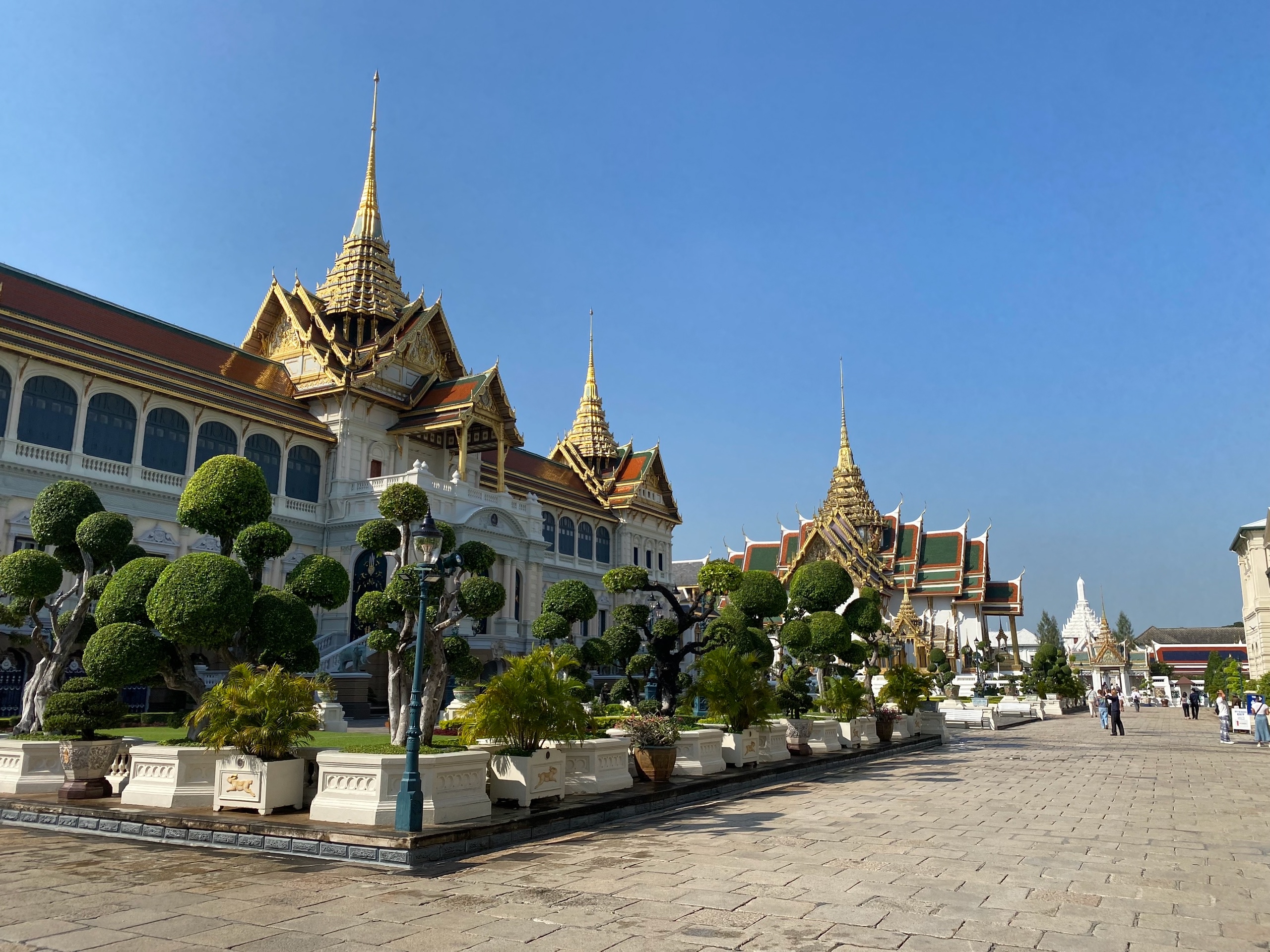 Деревья классно подстрижены, шариками