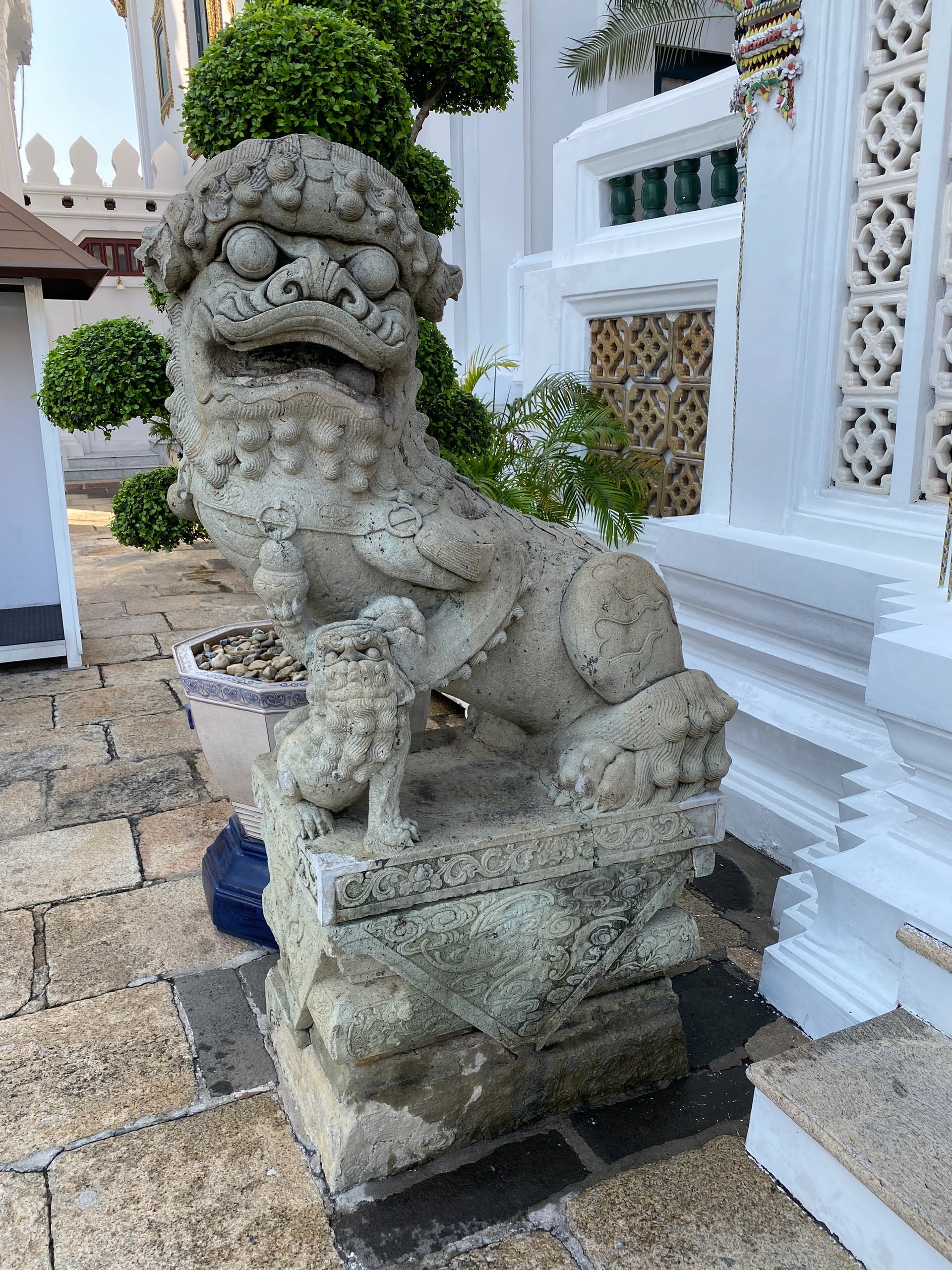 Вислоухий кот