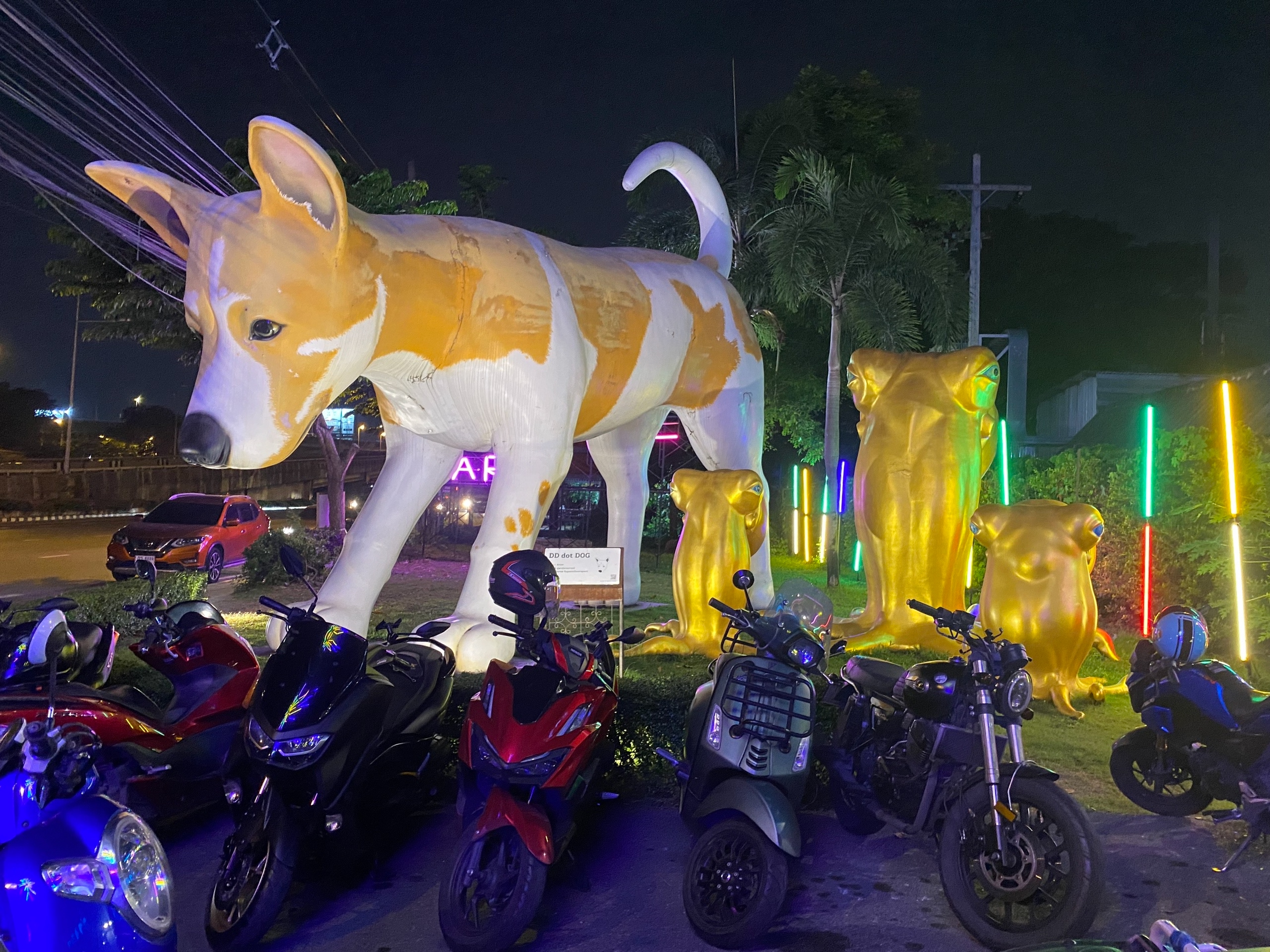 Молодёжный рынок, собакен и осьминоги у входа