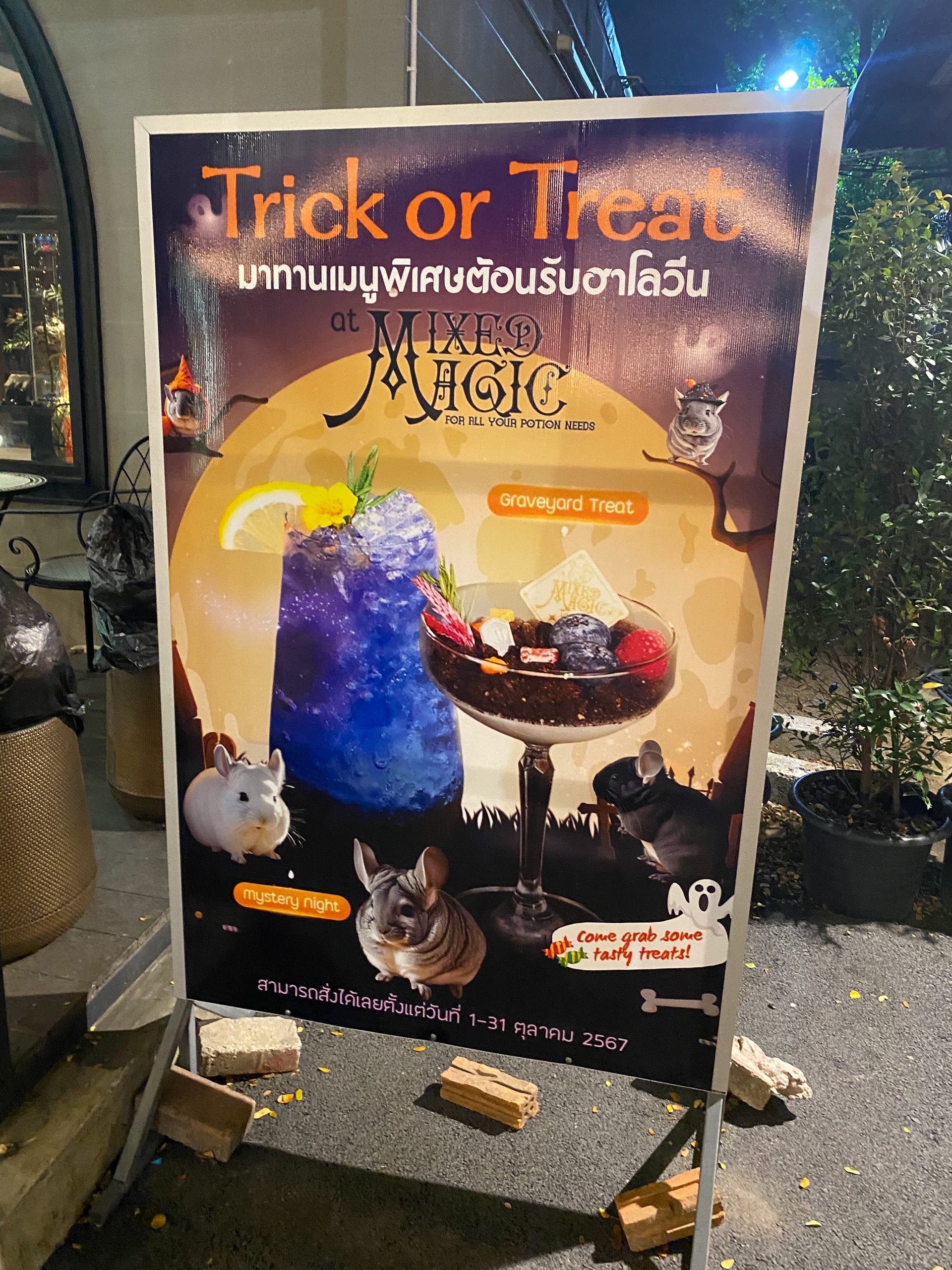 Шеллоуин в шиншильном баре